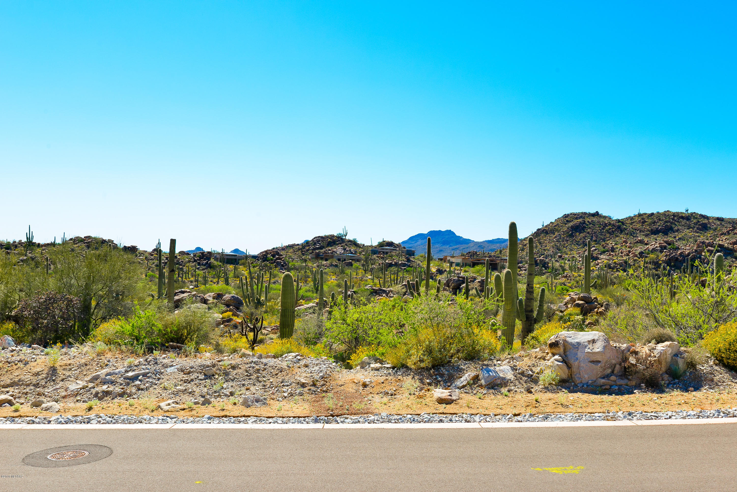 Stone Canyon VIII (486-602) - Land