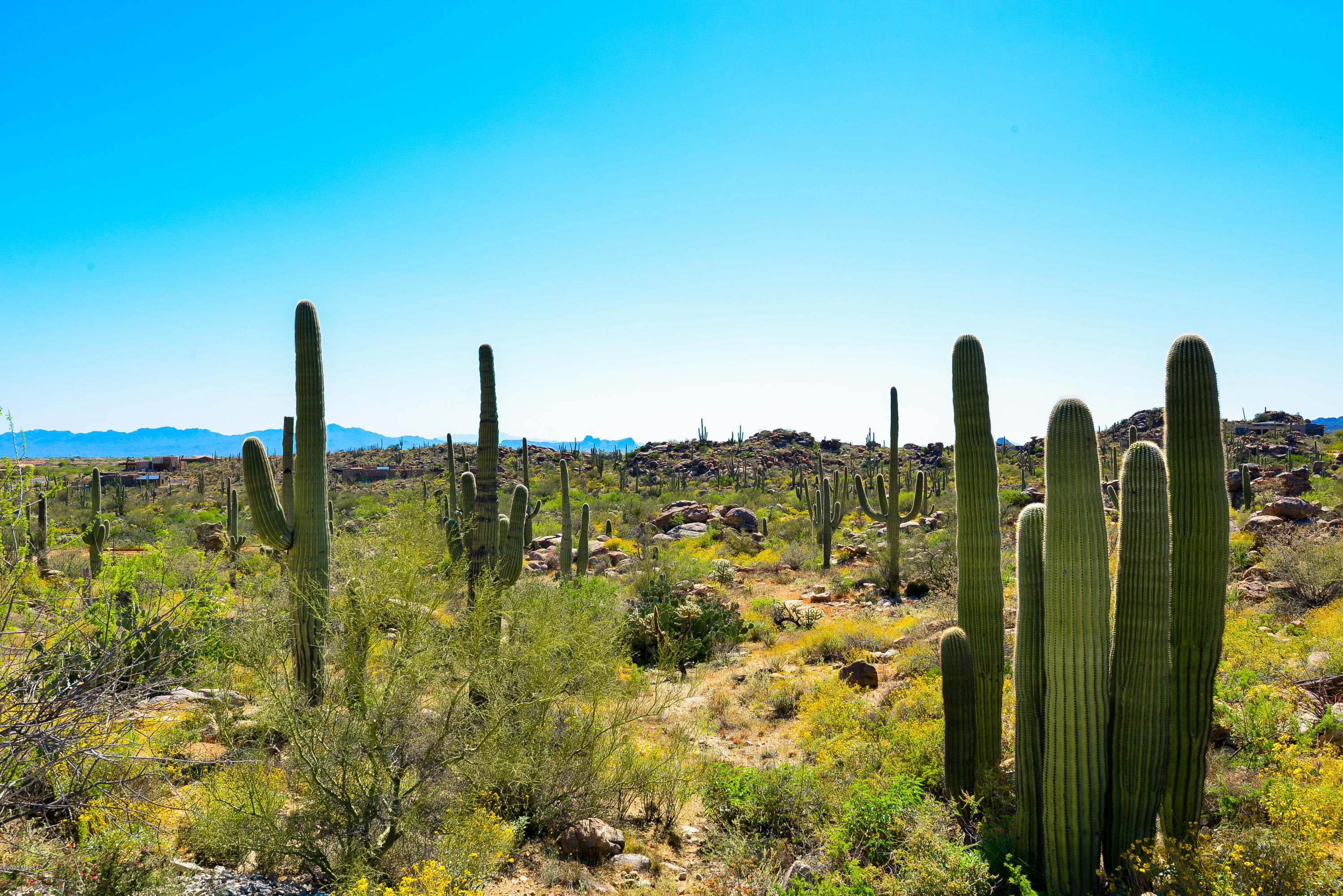 Stone Canyon VIII (486-602) - Land