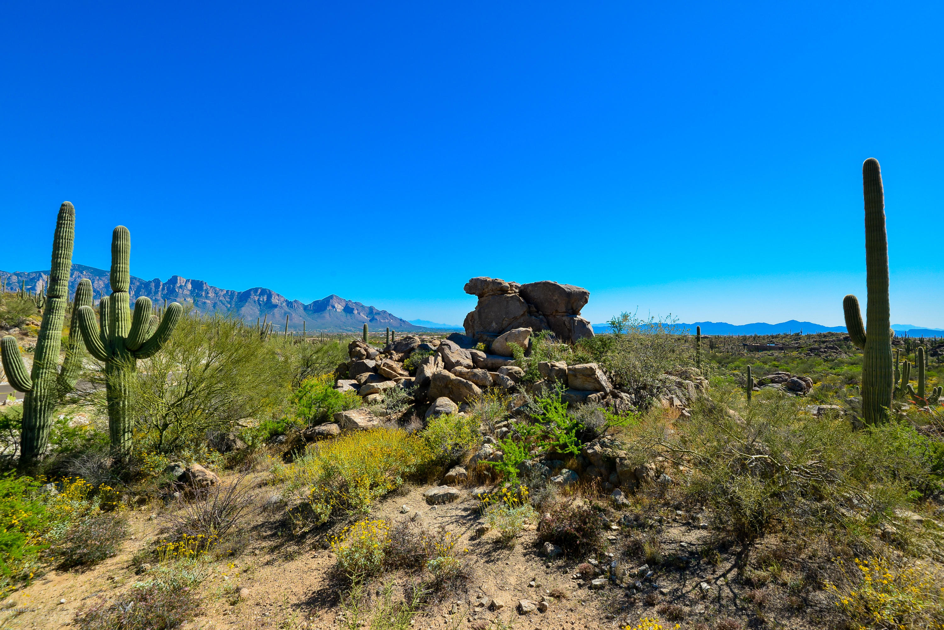 Stone Canyon VIII (486-602) - Land