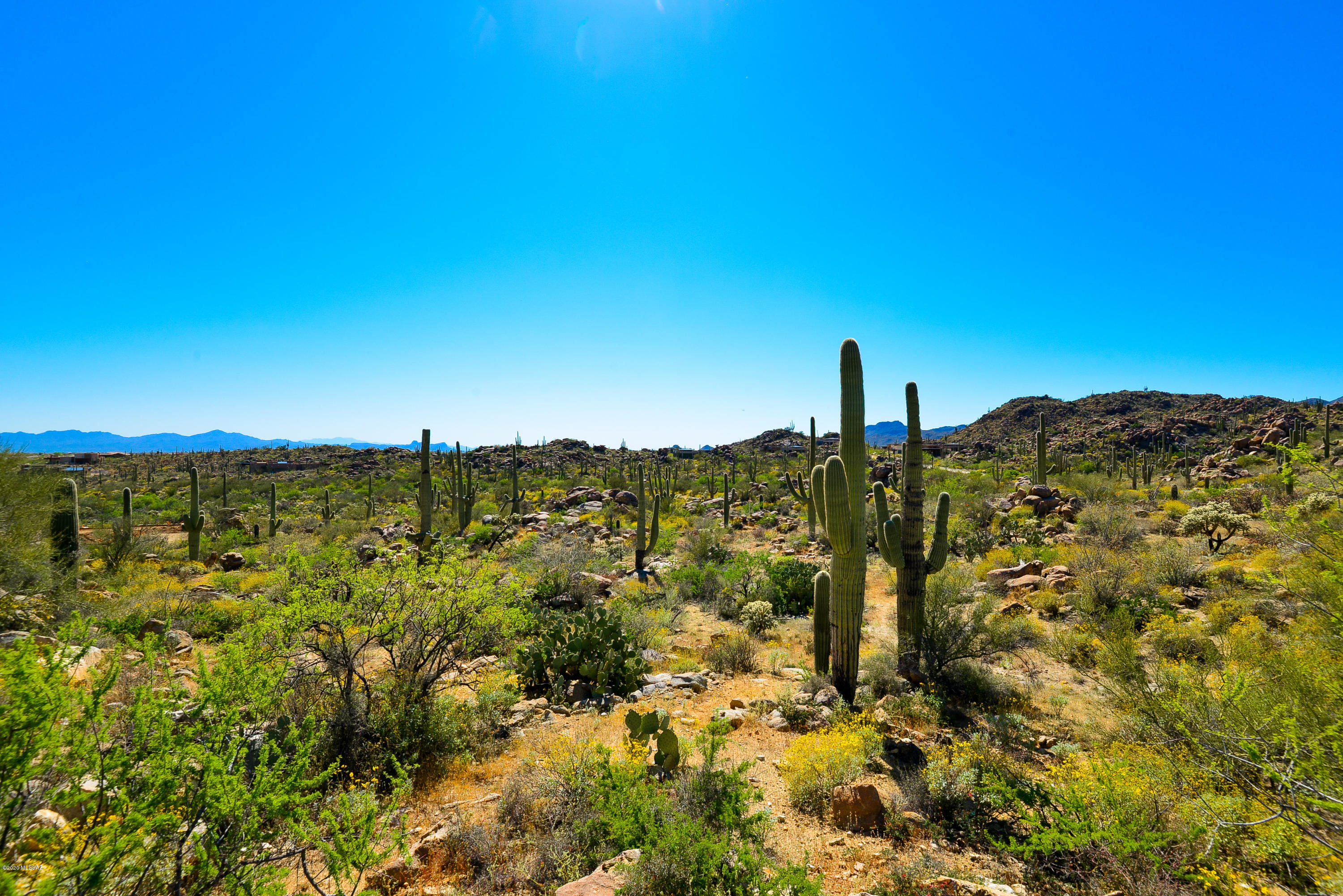 Stone Canyon VIII (486-602) - Land