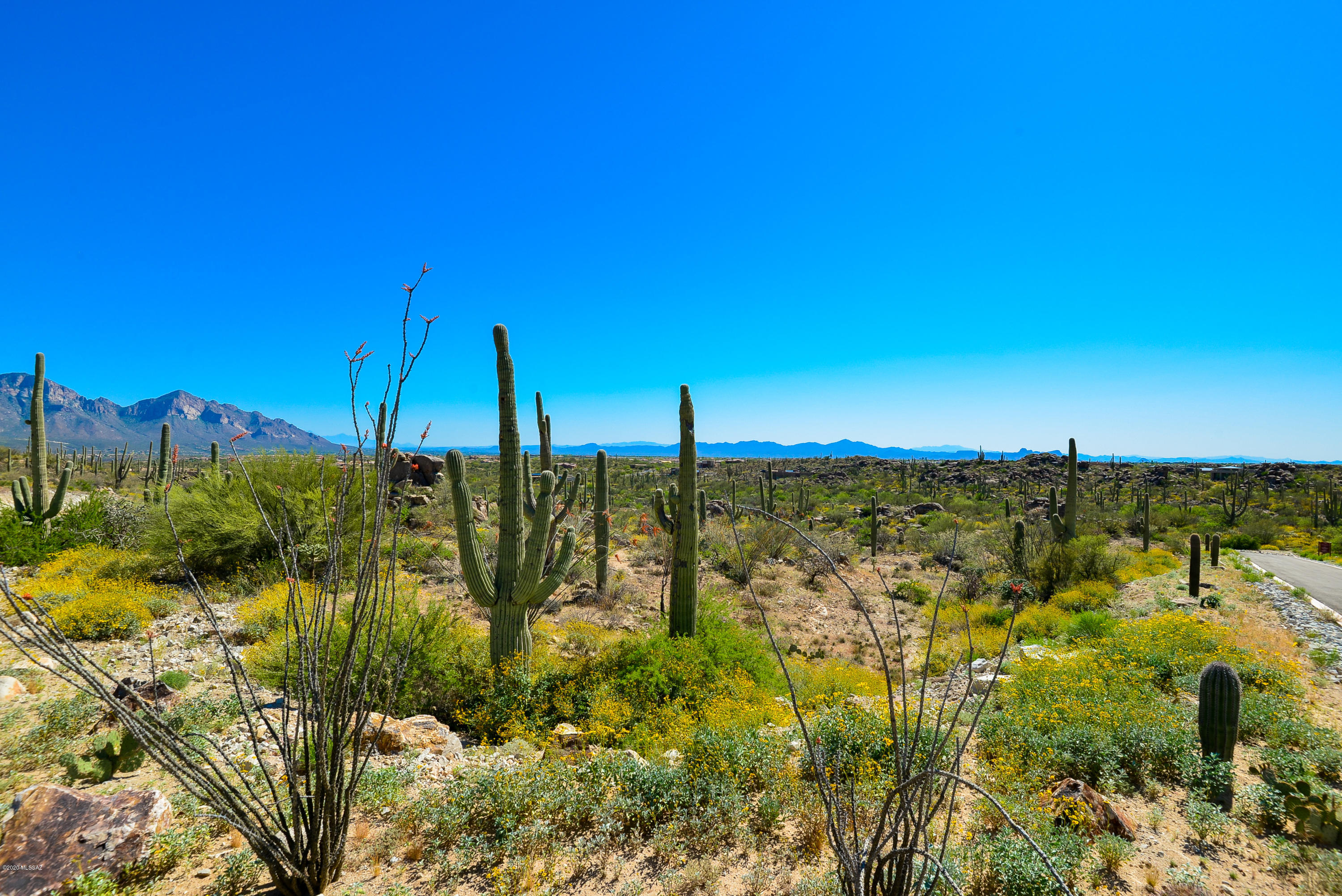 Stone Canyon VIII (486-602) - Land