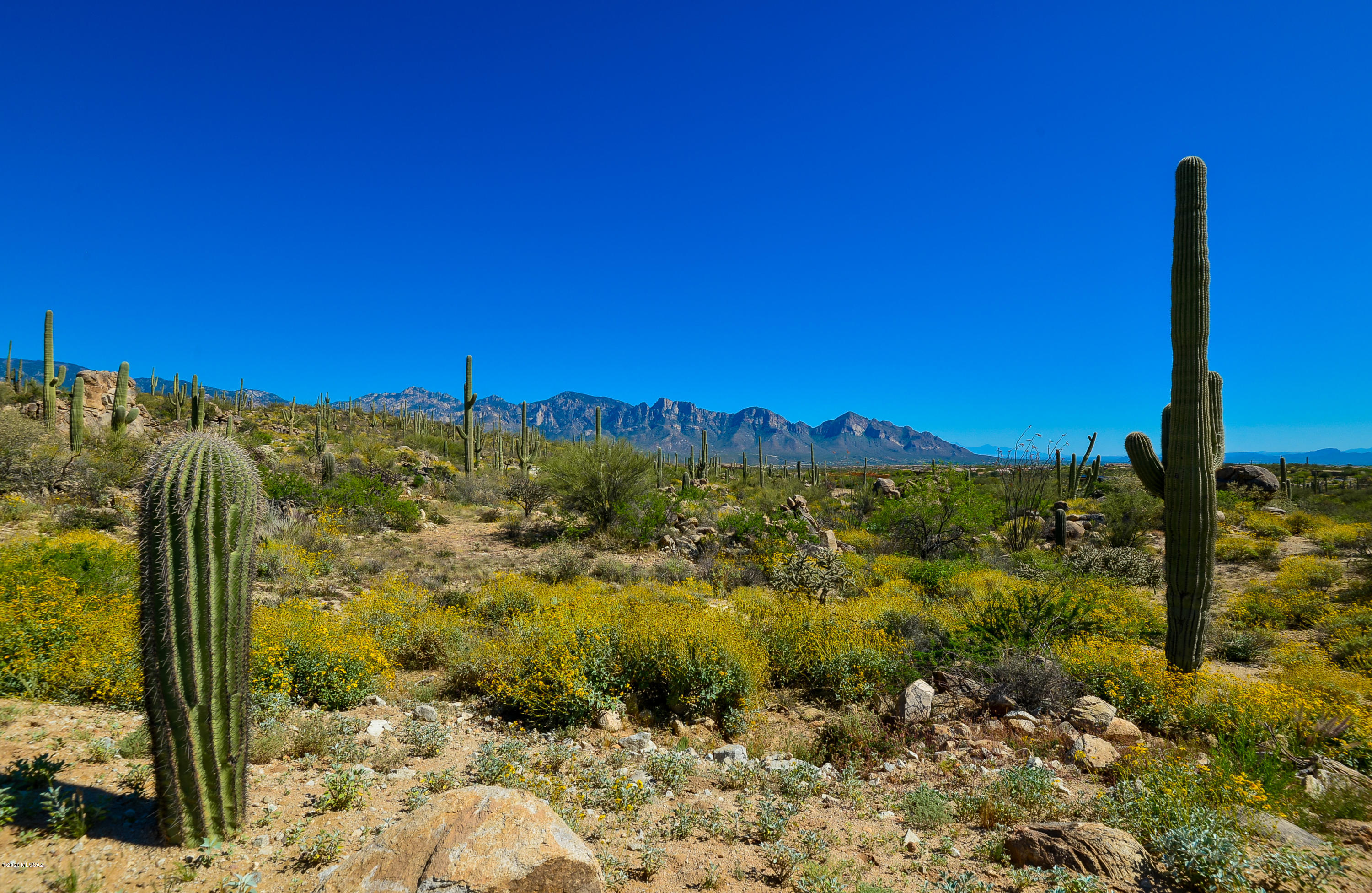 Stone Canyon VIII (486-602) - Land