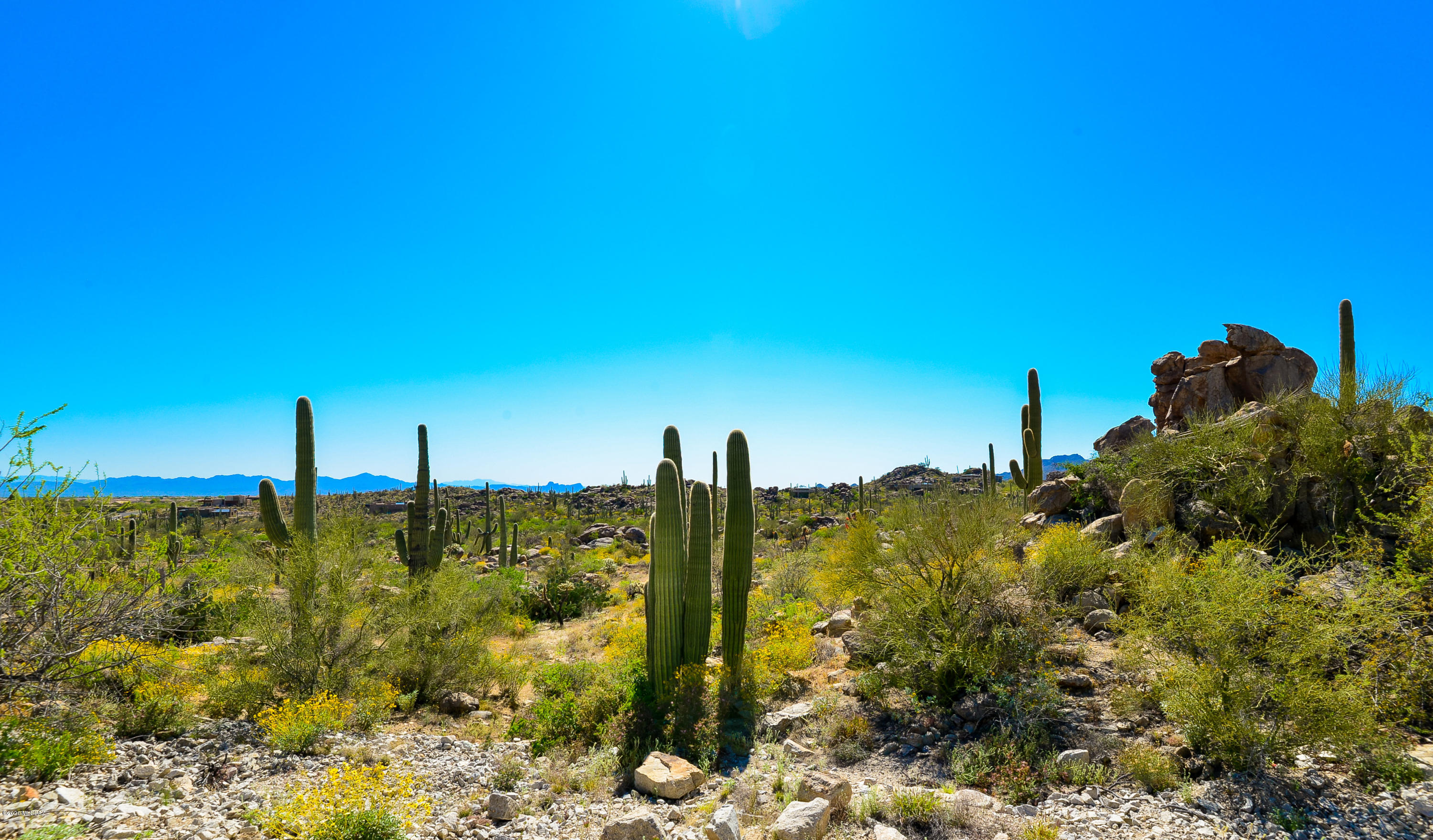 Stone Canyon VIII (486-602) - Land