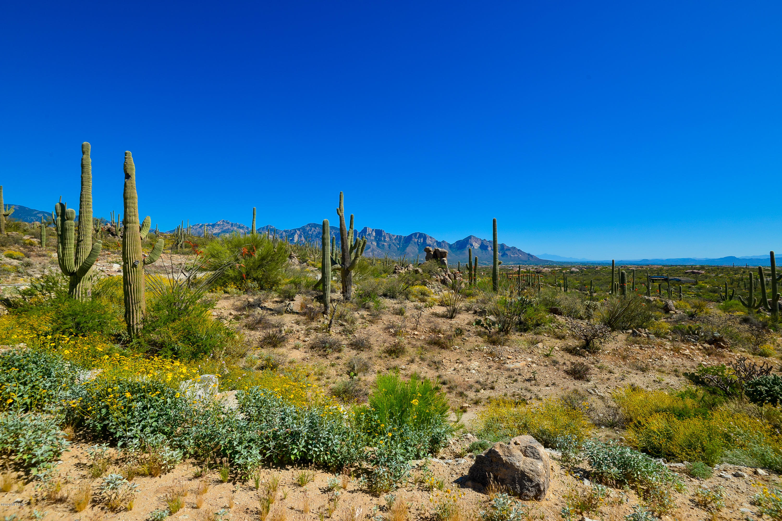 Stone Canyon VIII (486-602) - Land