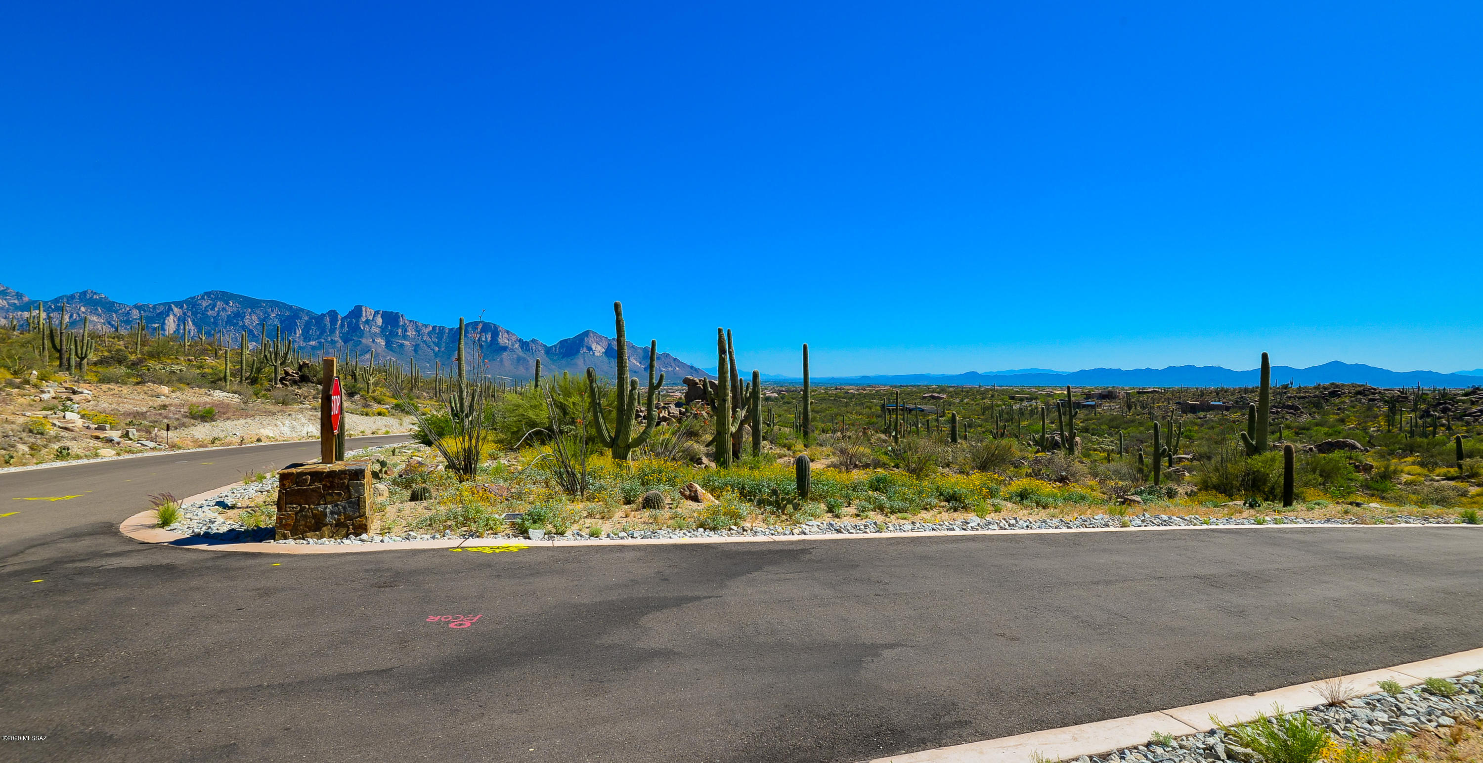 Stone Canyon VIII (486-602) - Land