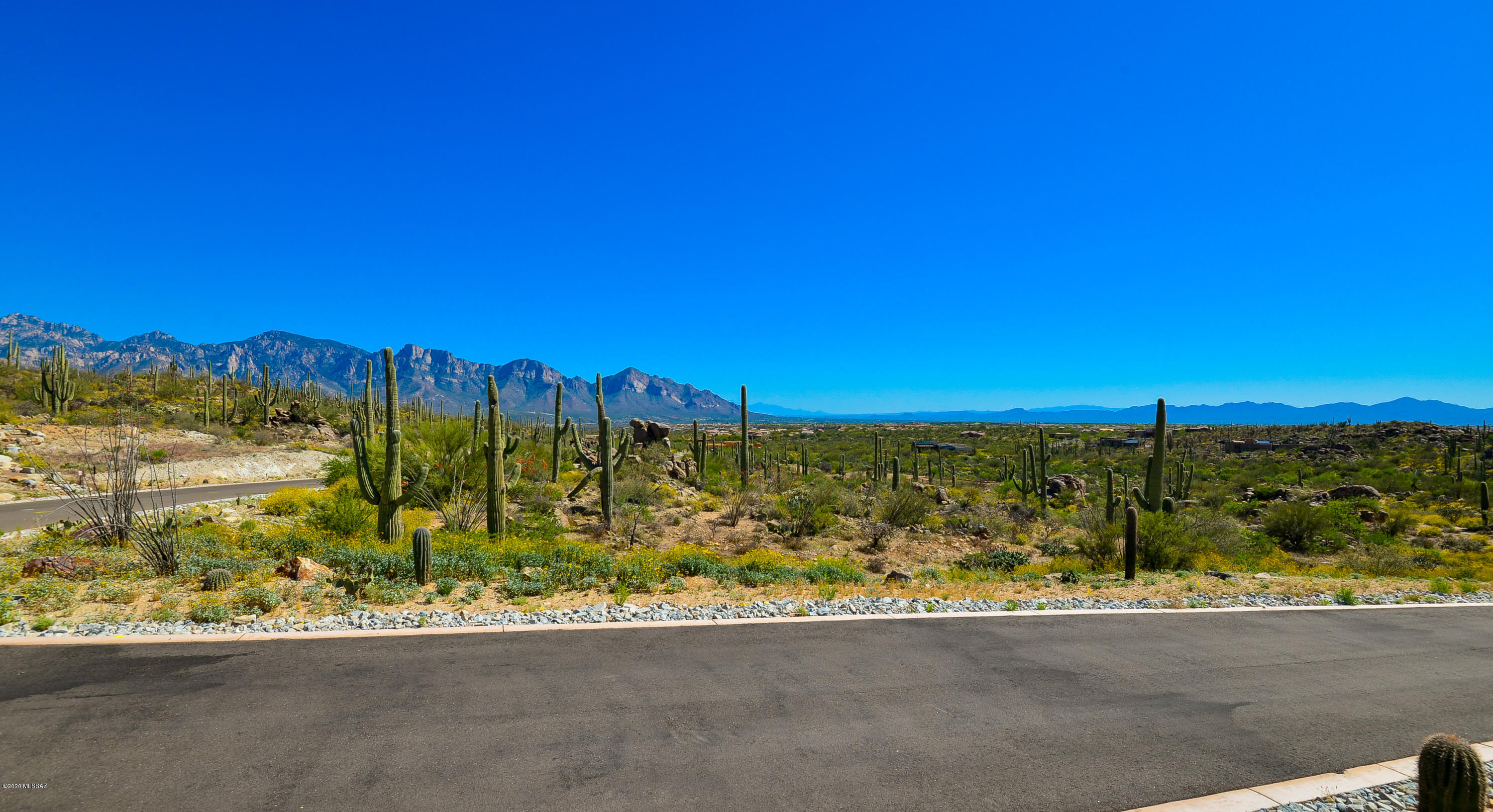 Stone Canyon VIII (486-602) - Land