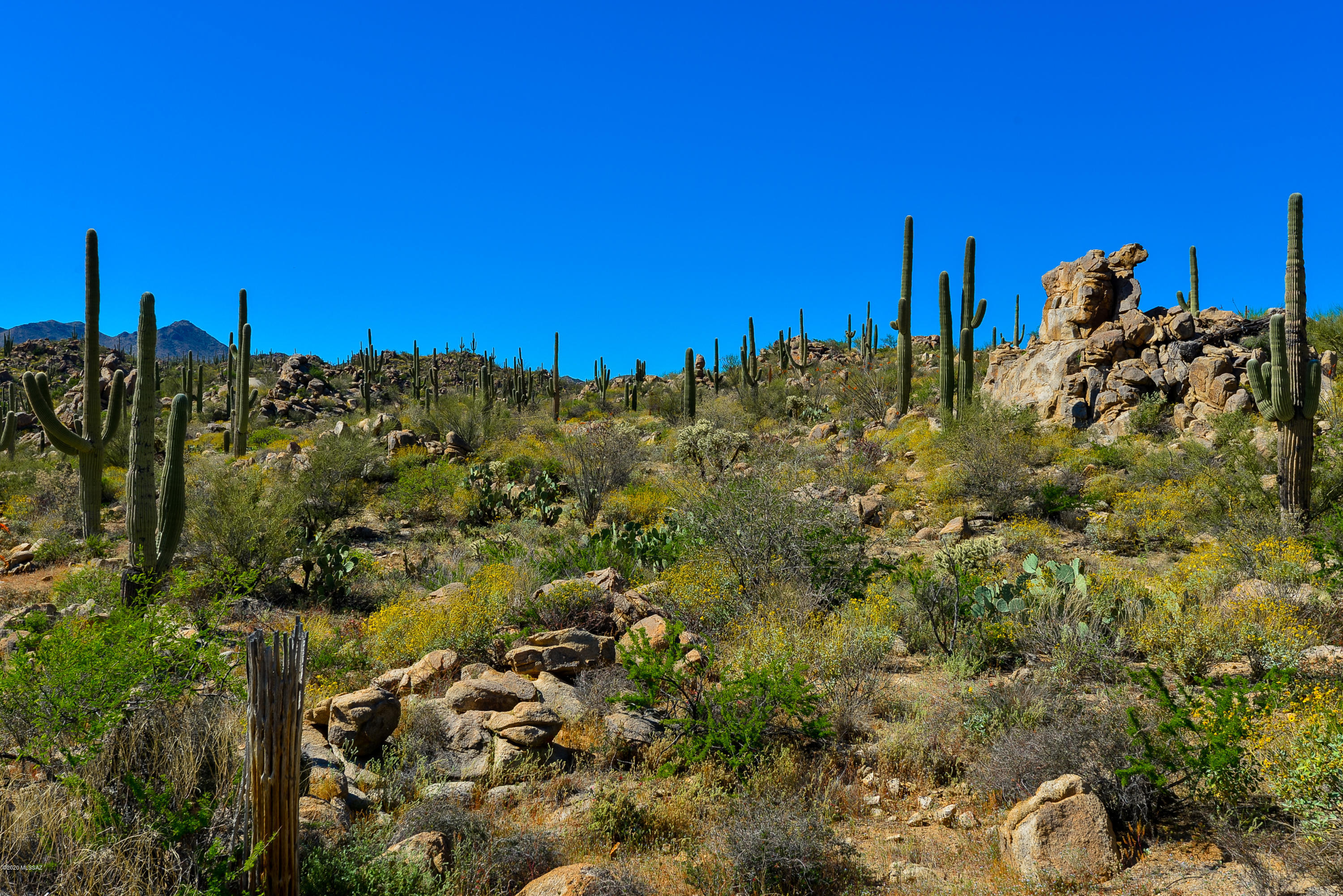 Stone Canyon VIII (486-602) - Land