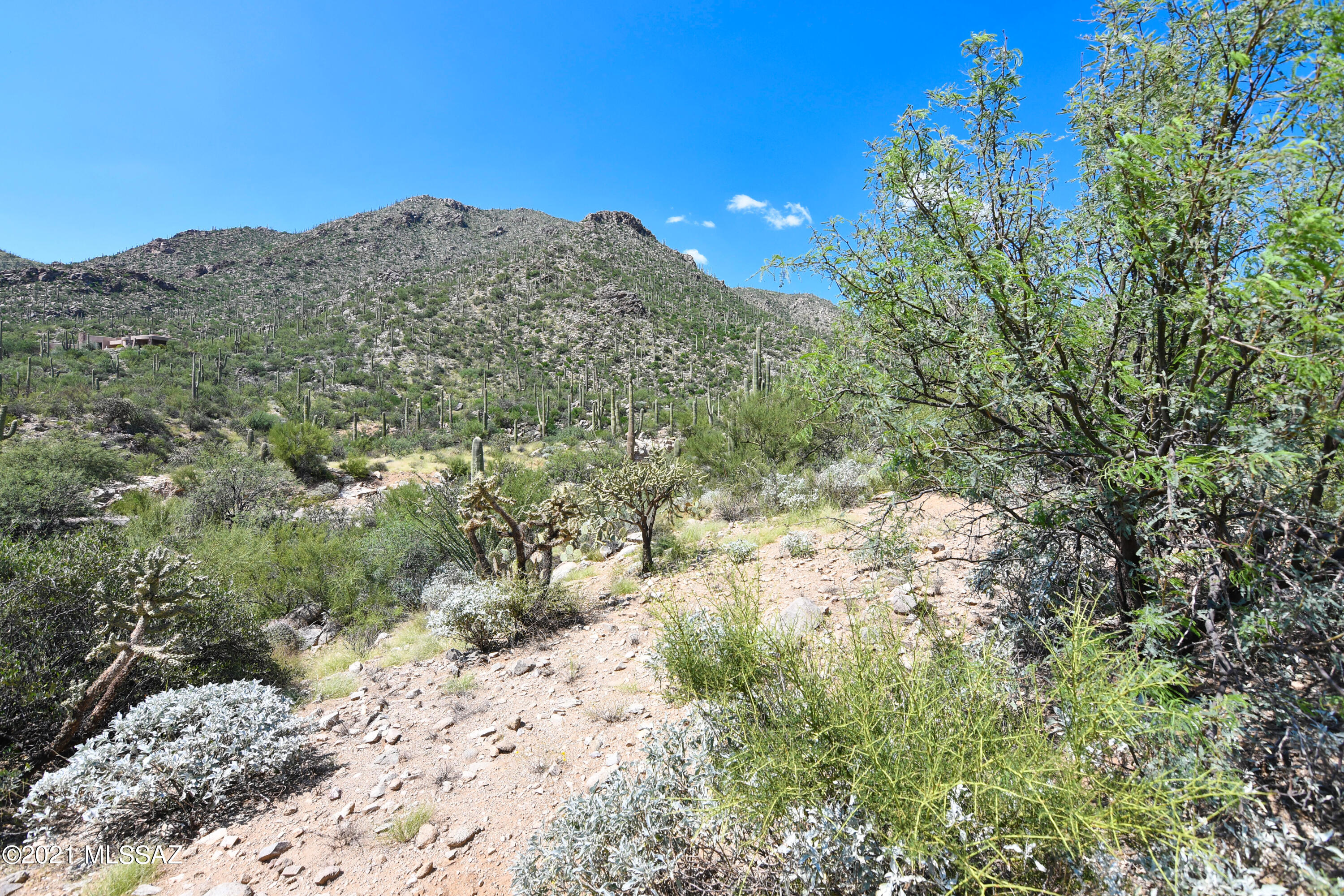 Canyon Pass III At Dove Mountain (111-181) - Land