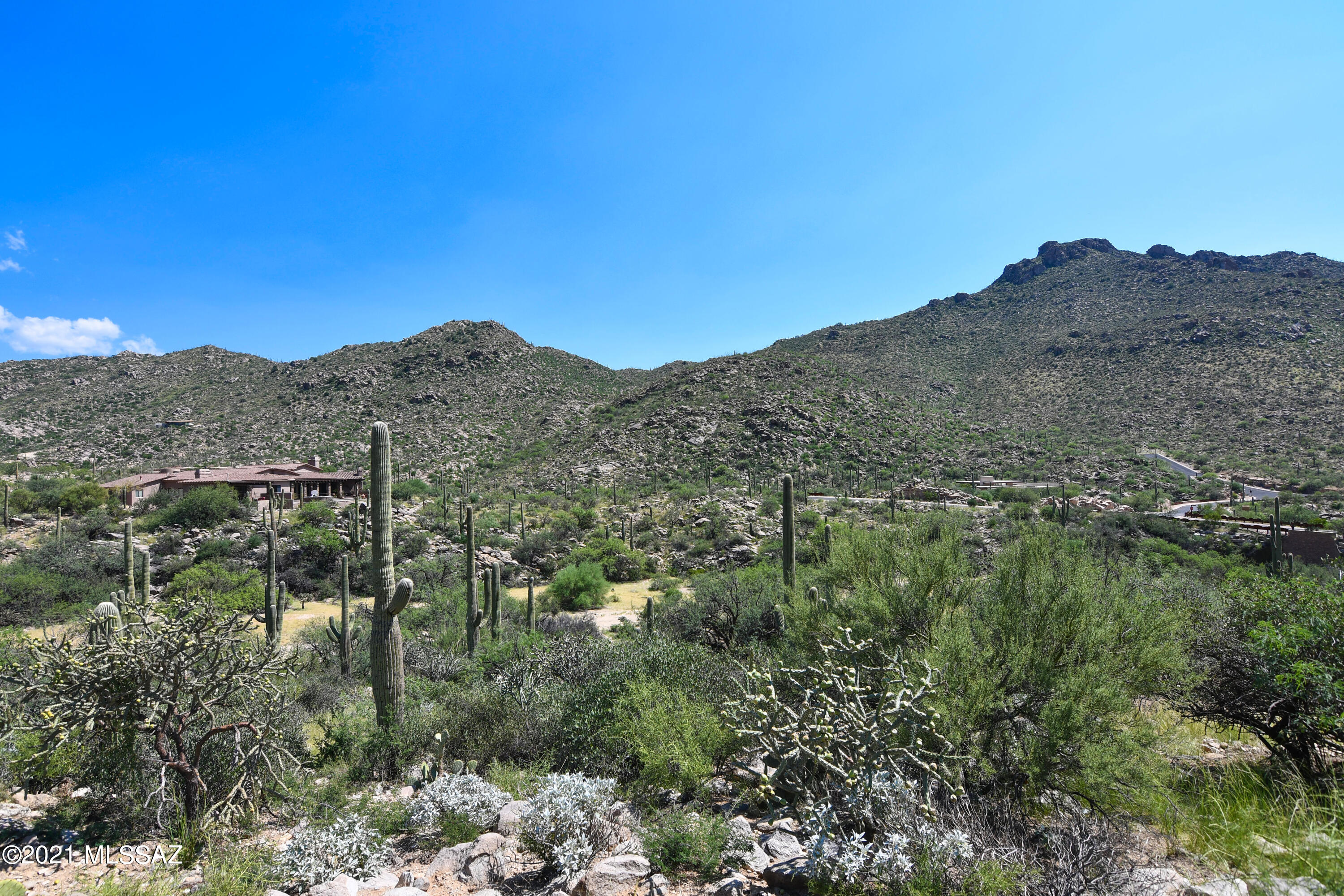 Canyon Pass III At Dove Mountain (111-181) - Land