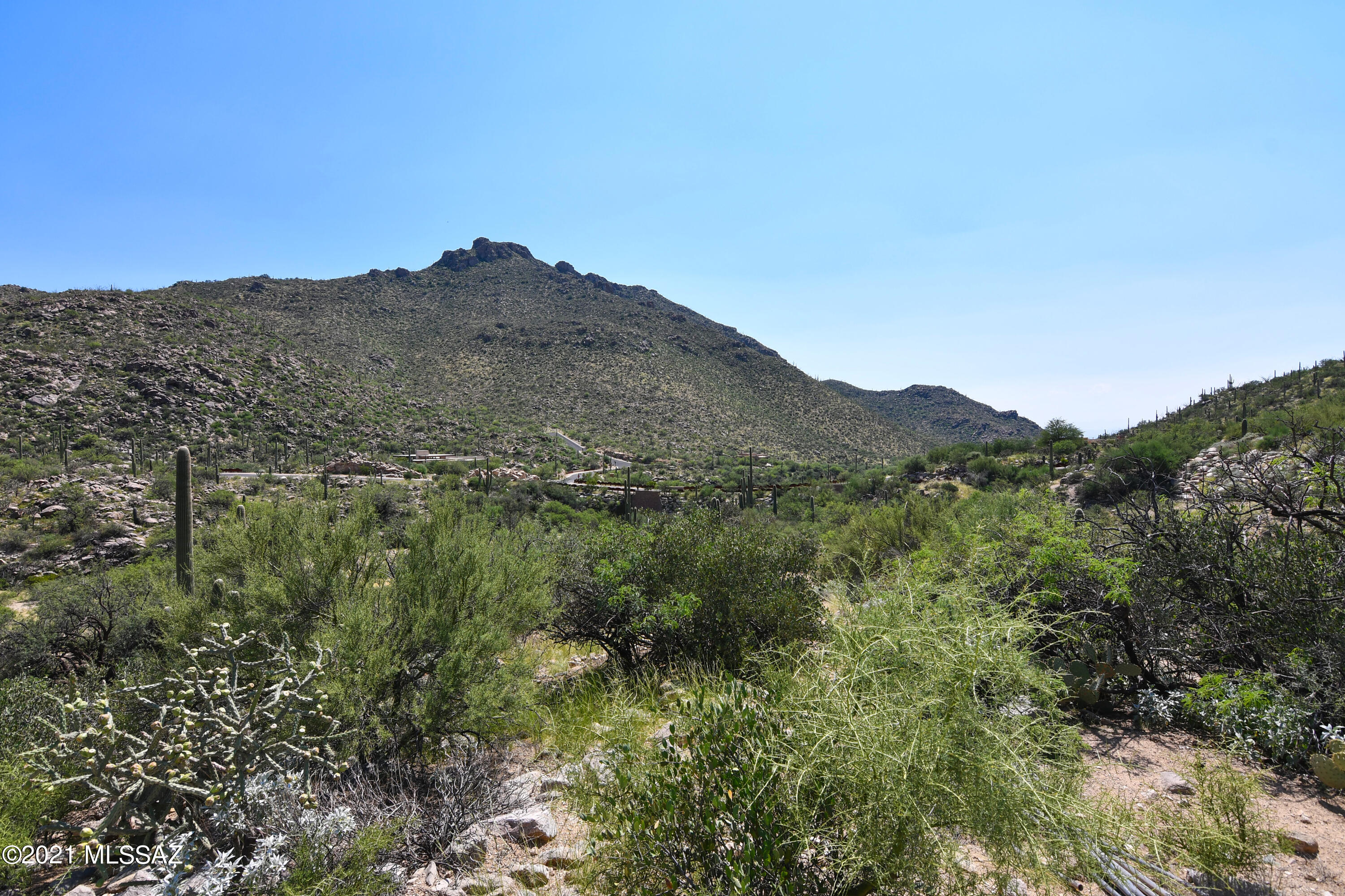Canyon Pass III At Dove Mountain (111-181) - Land