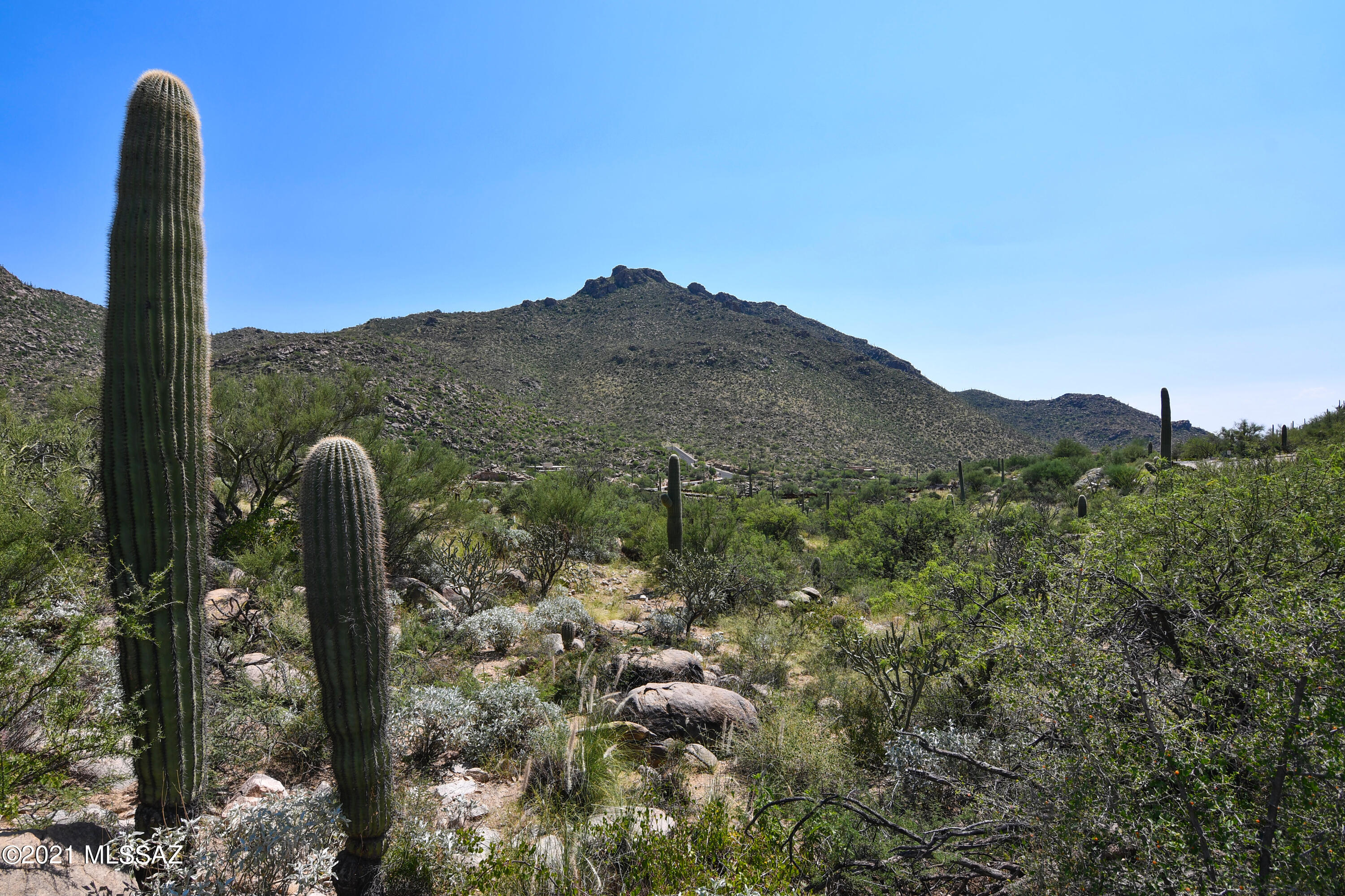Canyon Pass III At Dove Mountain (111-181) - Land