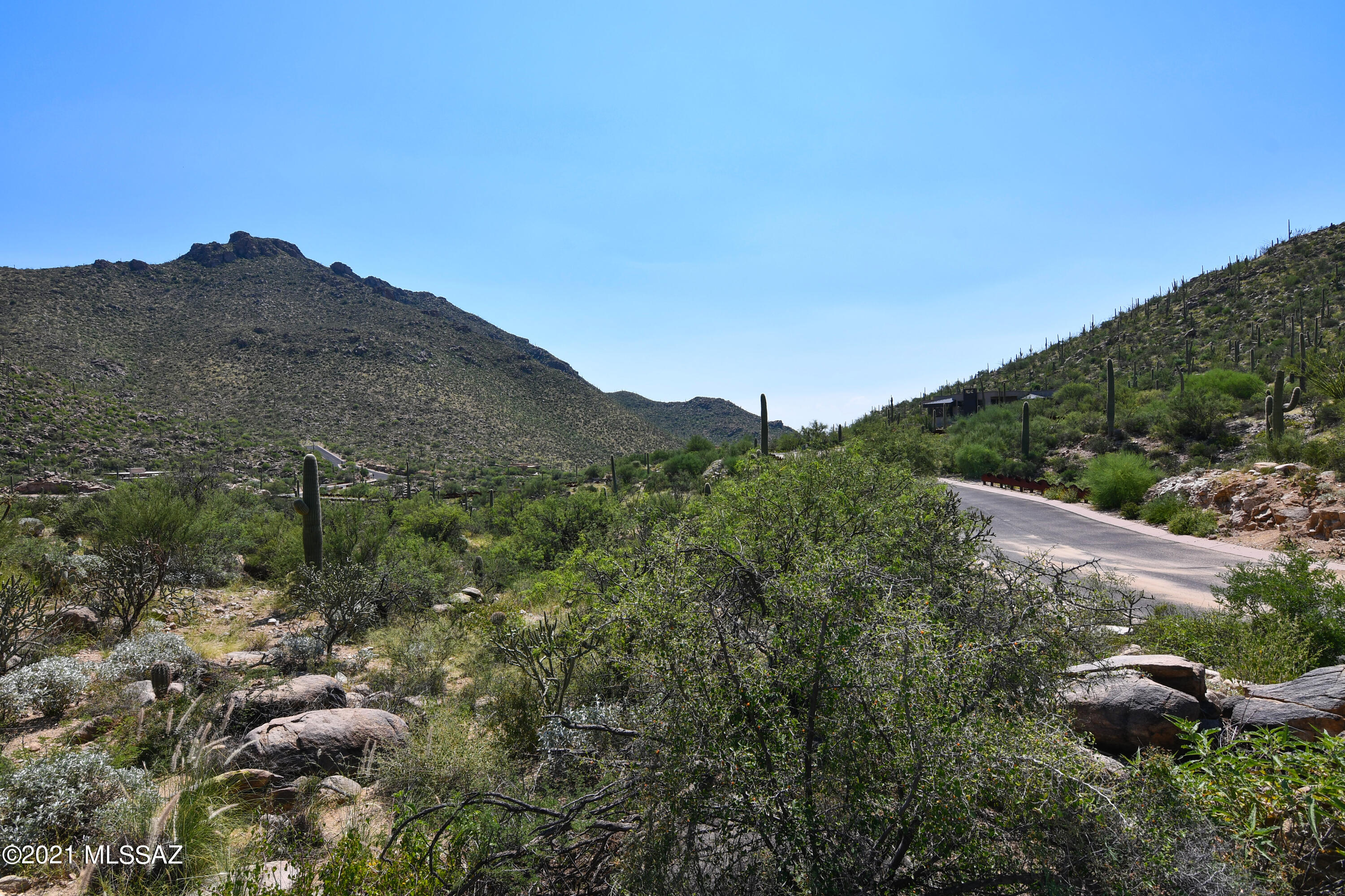 Canyon Pass III At Dove Mountain (111-181) - Land