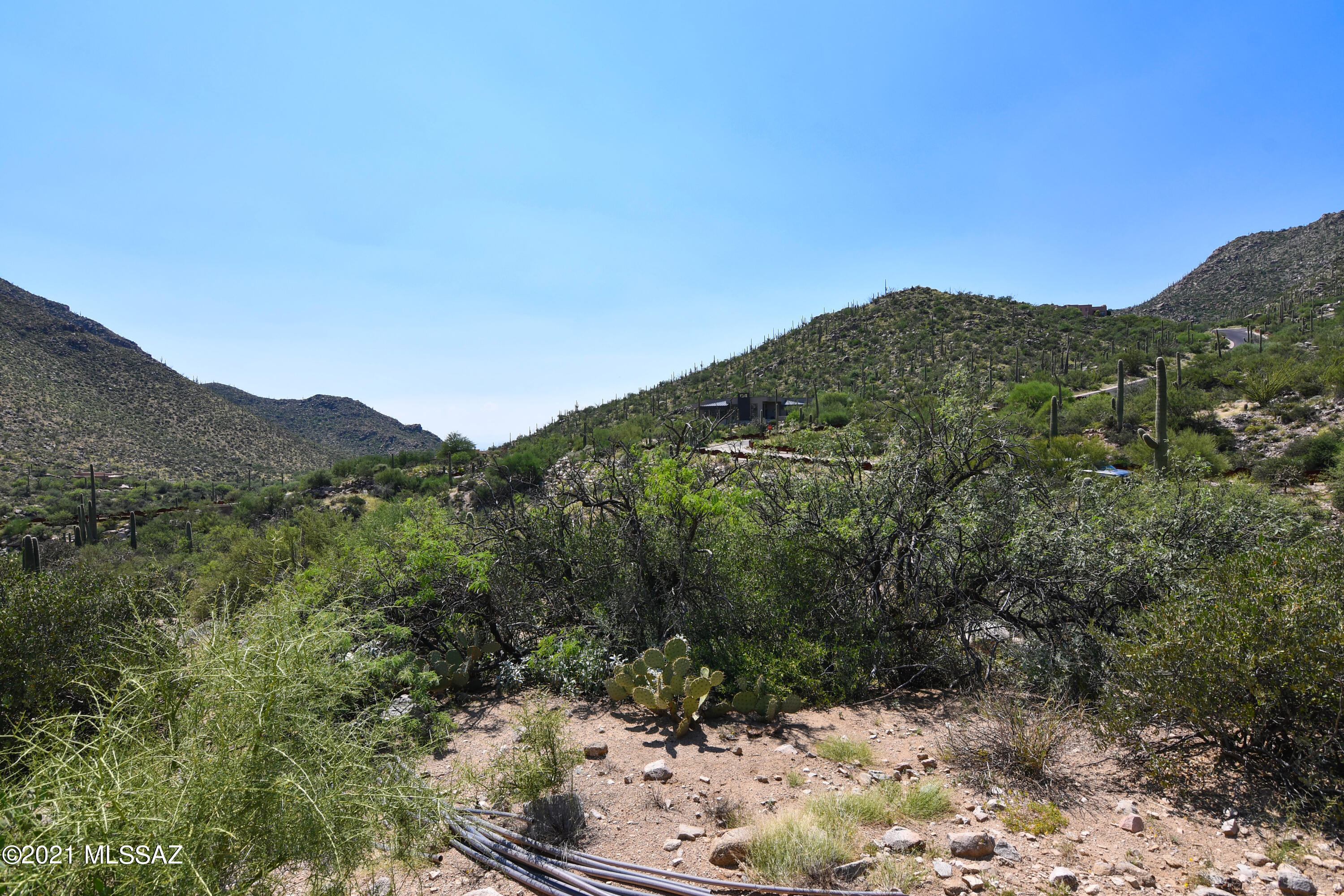 Canyon Pass III At Dove Mountain (111-181) - Land