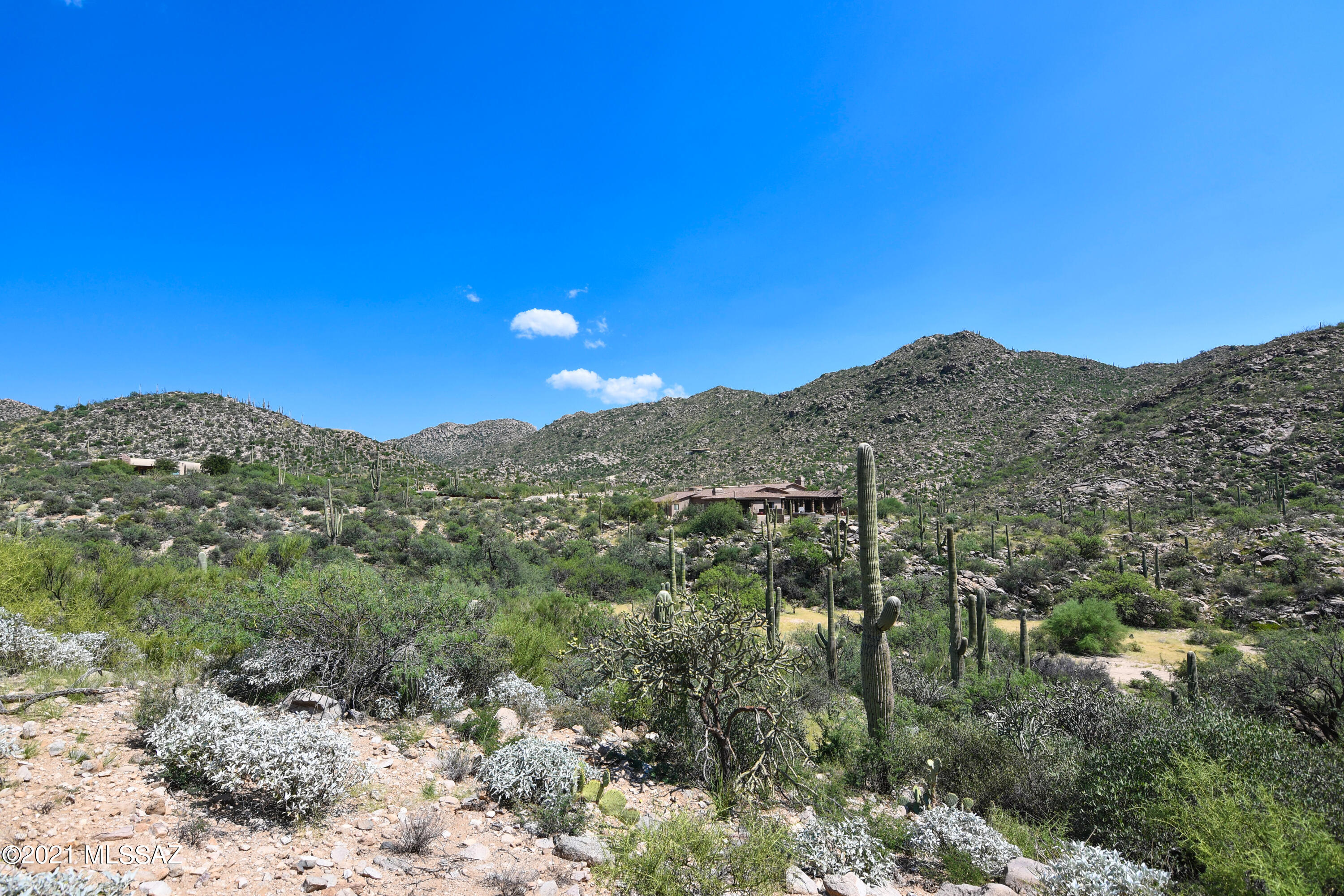 Canyon Pass III At Dove Mountain (111-181) - Land
