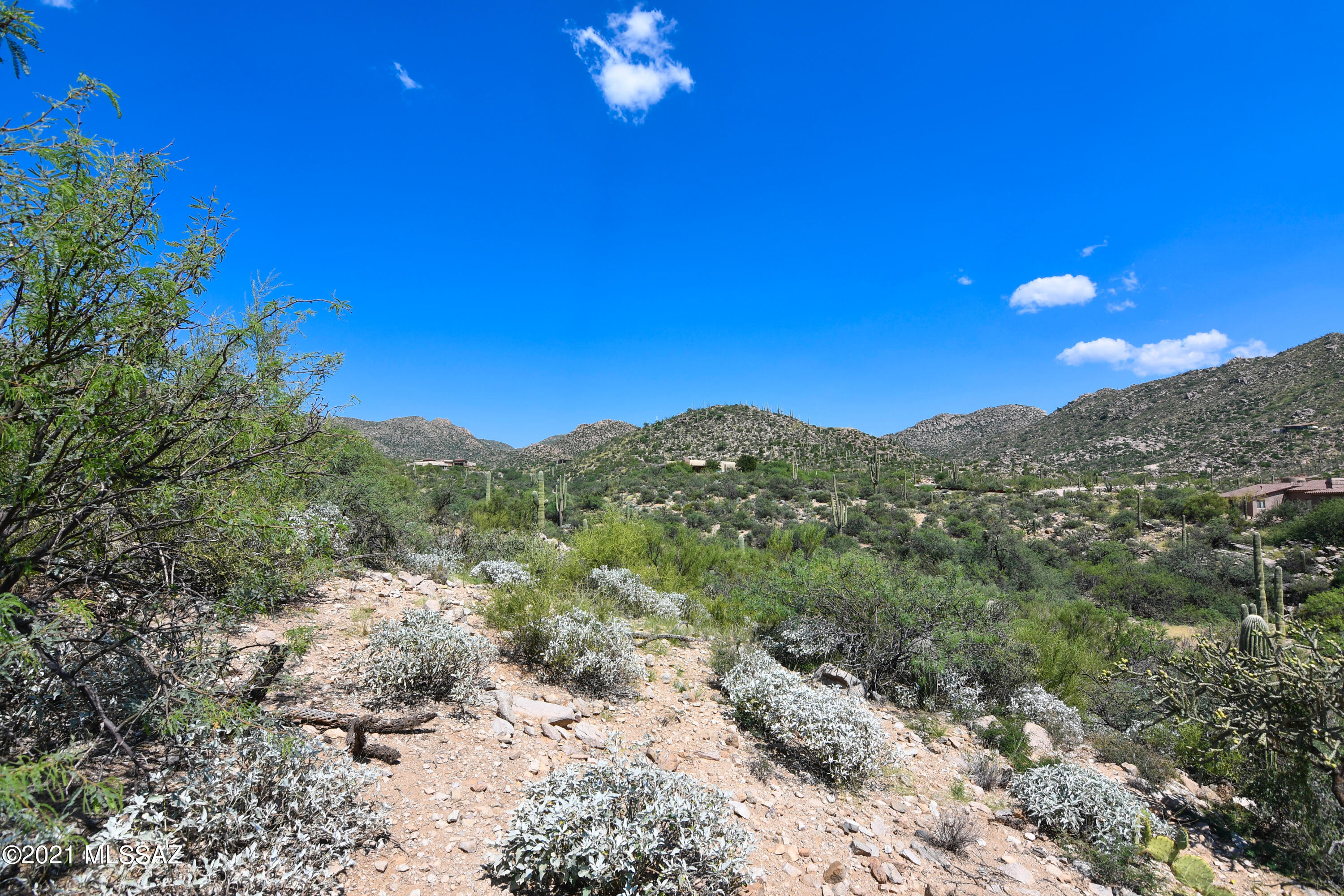 Canyon Pass III At Dove Mountain (111-181) - Land