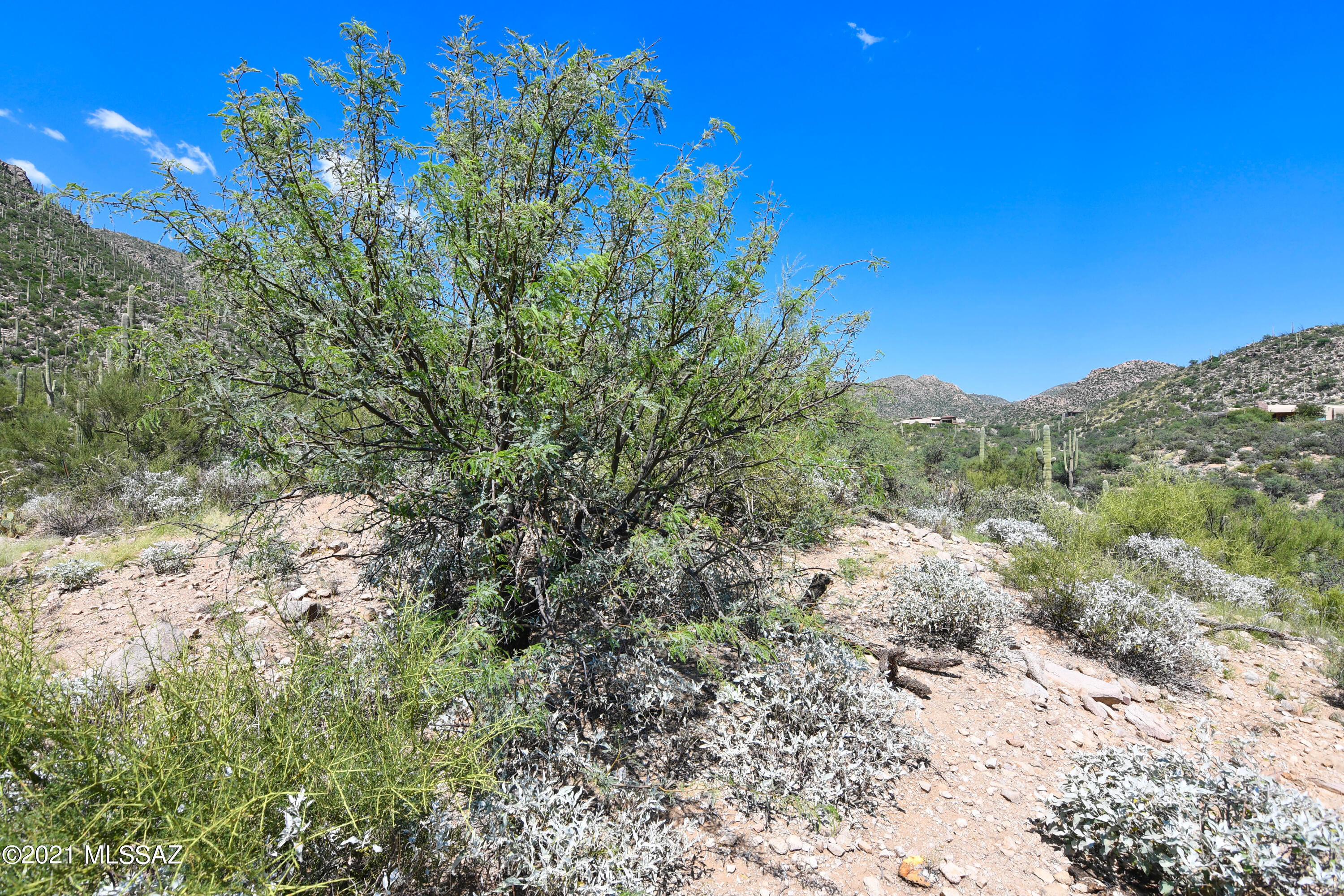 Canyon Pass III At Dove Mountain (111-181) - Land