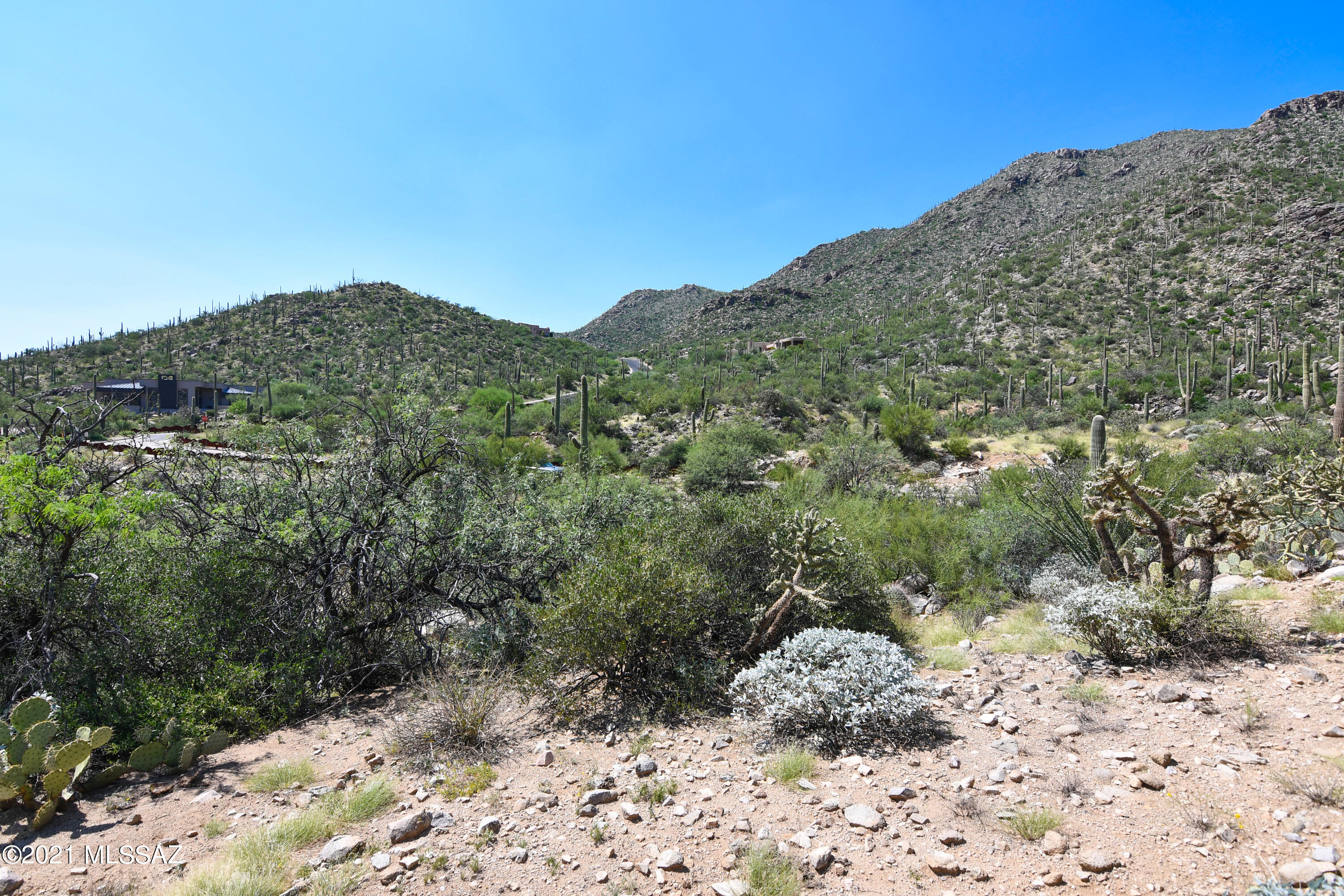 Canyon Pass III At Dove Mountain (111-181) - Land