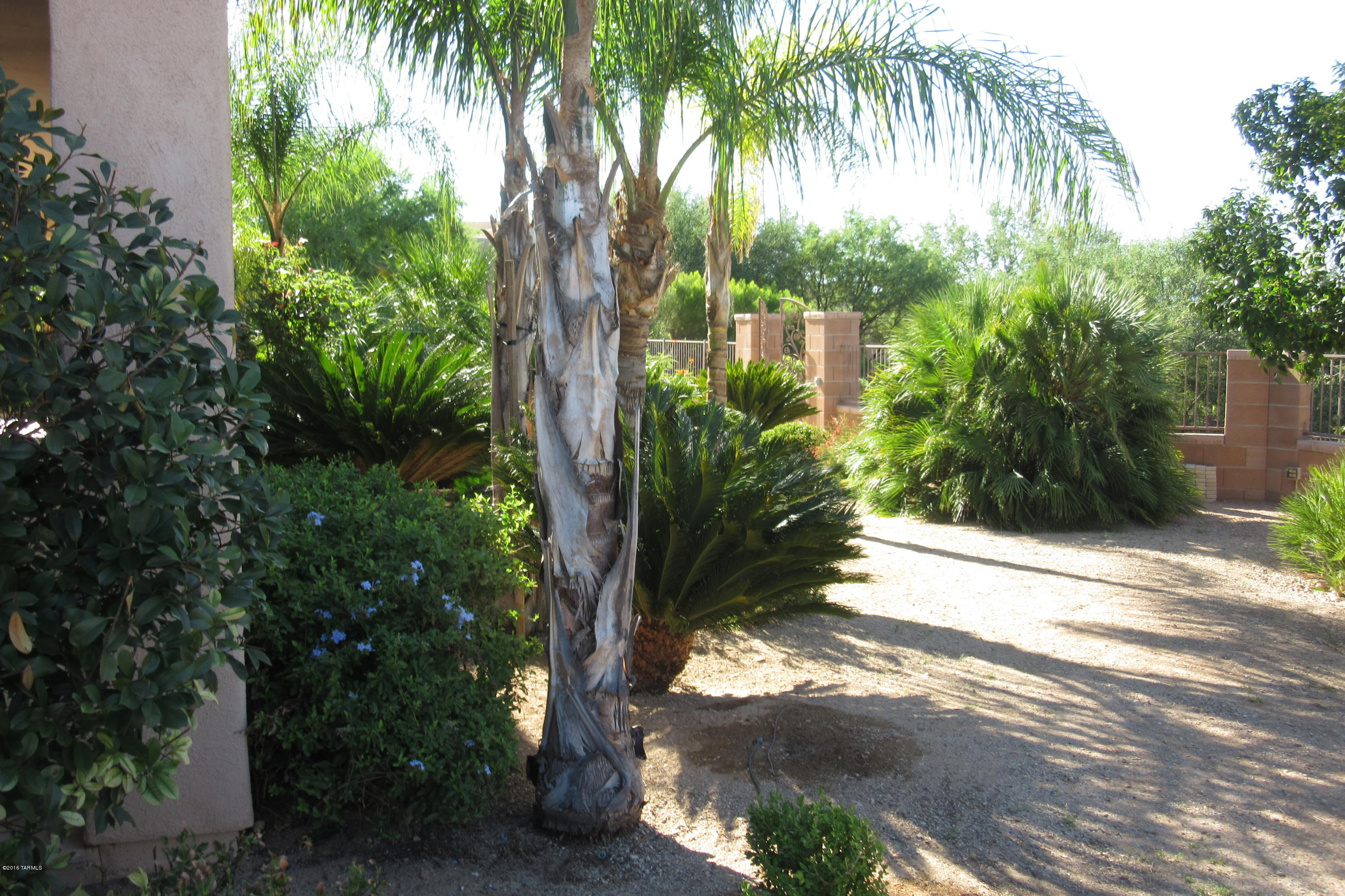 Jacaranda Village at Tewa Trail (1-36) - Residential