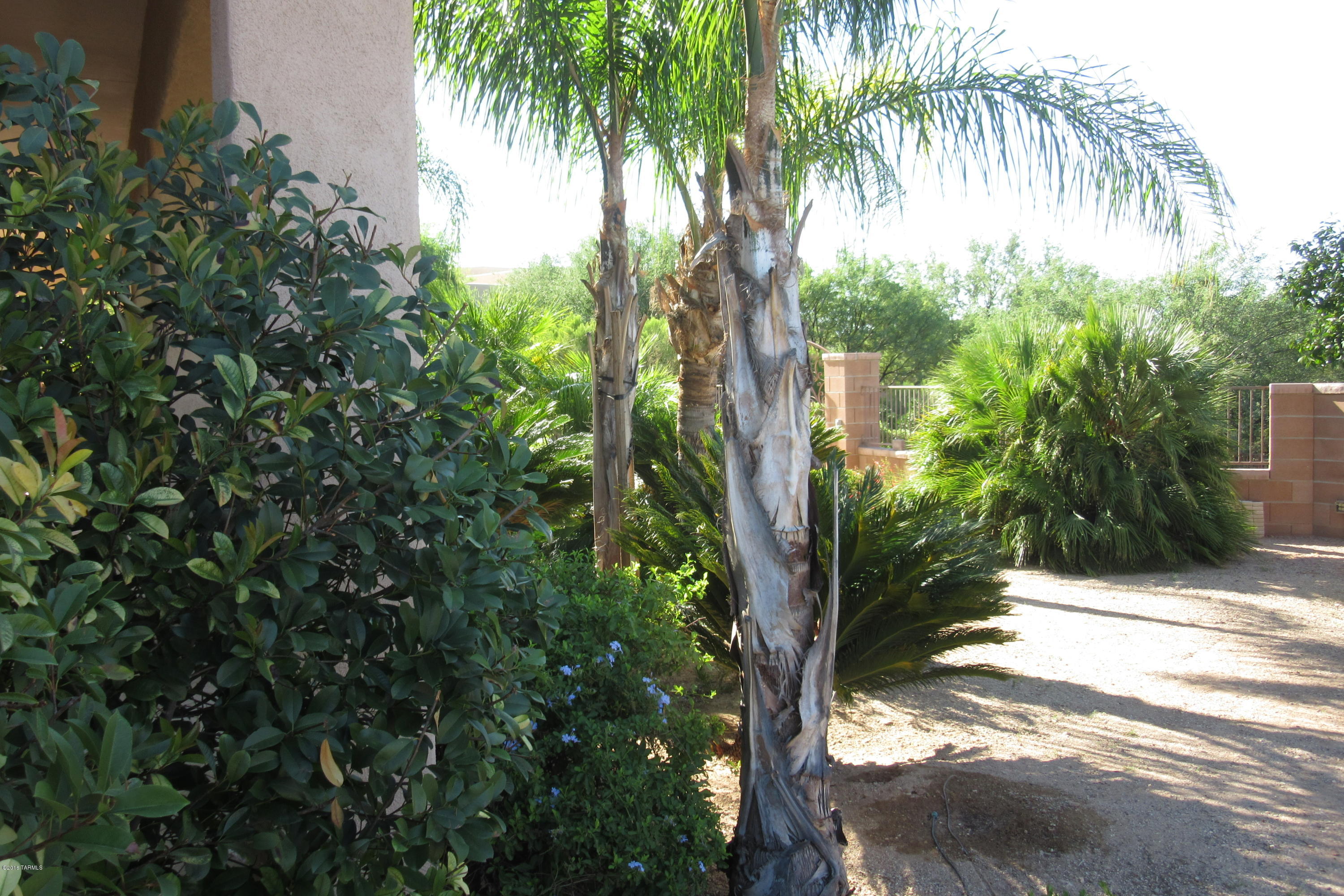 Jacaranda Village at Tewa Trail (1-36) - Residential