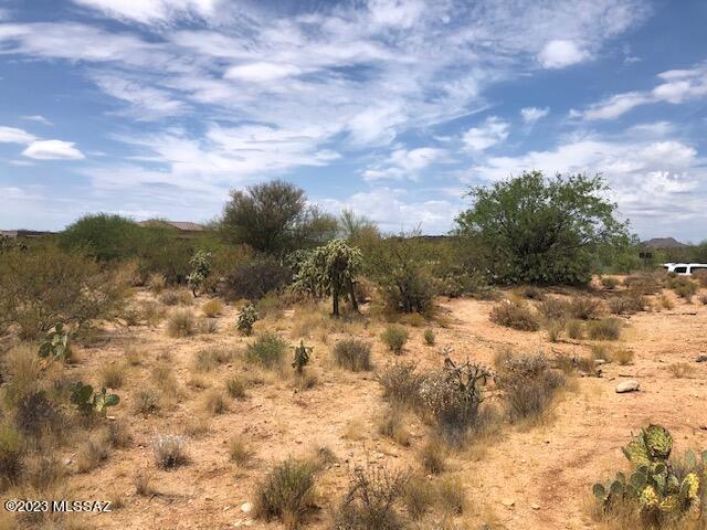 Honey Bee Ridge(The Estates At) - Land