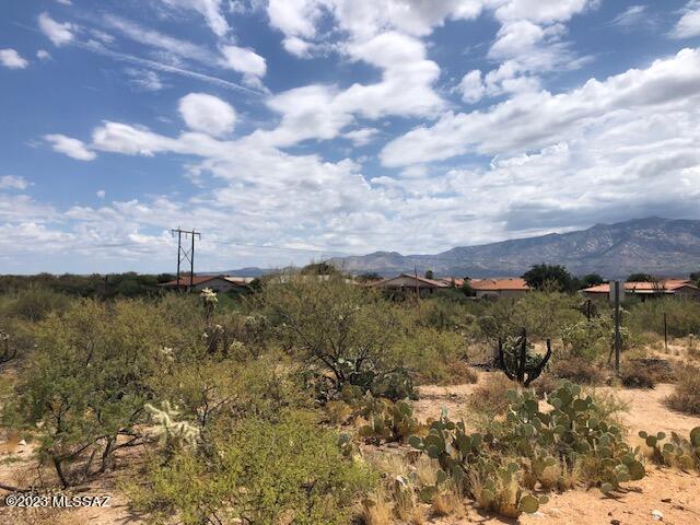 Honey Bee Ridge(The Estates At) - Land