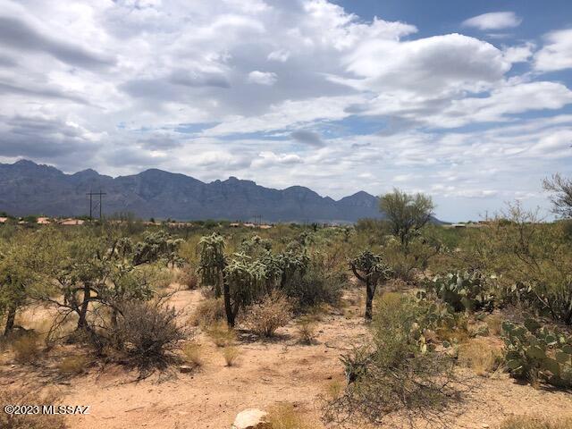 Wonderful, HONEY BEE RIDGE ESTATES lot with PANORAMIC, UNOBSTRUCTED, views of the CATALINAS and PUSCH RIDGE from your east-facing BACKYARD. Easy build on this FLAT 1.21 acre site with all underground utilities in the street. Lot has just been separated from contiguous Lot 37 and restored to it's original size/configuration per the recorded plat. Terrific location in the ''heart'' of sought after Oro Valley with close by services, shops, recreational opportunities, medical/hospital, restaurants, etc. Gated community with many high end custom homes; neighboring home at 14756 just closed for $1.7M. Build your dream home on this affordably priced site being offered at $189,000.   Excellent, 5 year seller financing at 7.5% int. with as little as 10% down payment.; BUY NOW, BUILD LATE