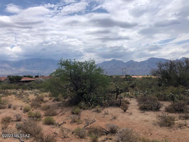 Honey Bee Ridge(The Estates At) - Land