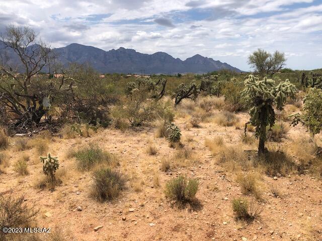 Honey Bee Ridge(The Estates At) - Land