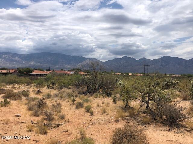 Honey Bee Ridge(The Estates At) - Land