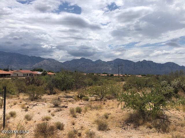 Honey Bee Ridge(The Estates At) - Land