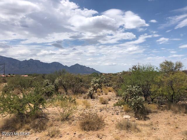 Honey Bee Ridge(The Estates At) - Land