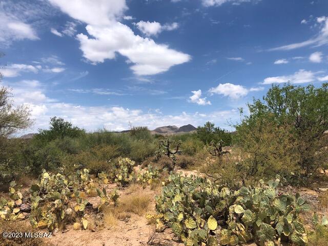 Honey Bee Ridge(The Estates At) - Land