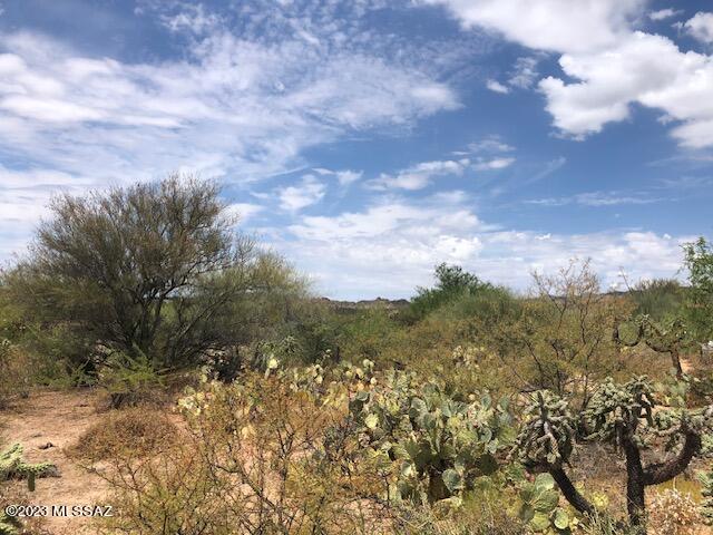 Honey Bee Ridge(The Estates At) - Land