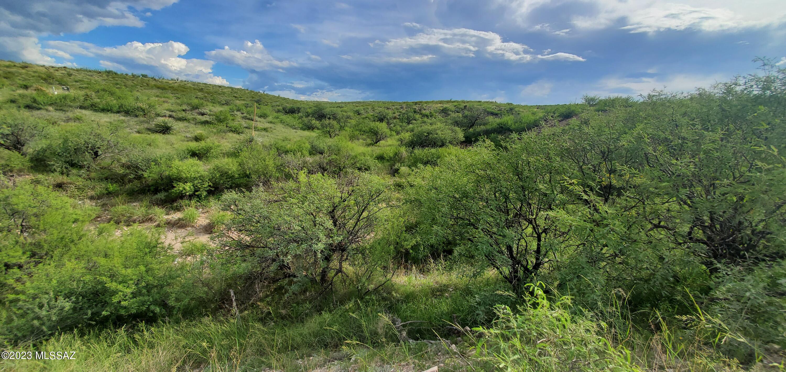 HUGE PRICE REDUCTION! 5.42 acres adjacent to State Land with amazing views! Electric and phone are on the lot and there is (limited) potential to improve the existing well shared by the adjacent vacant parcel to the north. Site built 1600+ sqft custom homes only per Deed Restrictions; no manufactured or modular homes. this beautiful, rolling horse property borders State Land to the south. Excellent opportunity to purchase 5+ acres in an awesome location away from traffic and congestion and not far from all of the amenities in Vail & Tucson. Only minutes to !-10 from paved Marsh Station Rd. Staked and flagged in 2023.