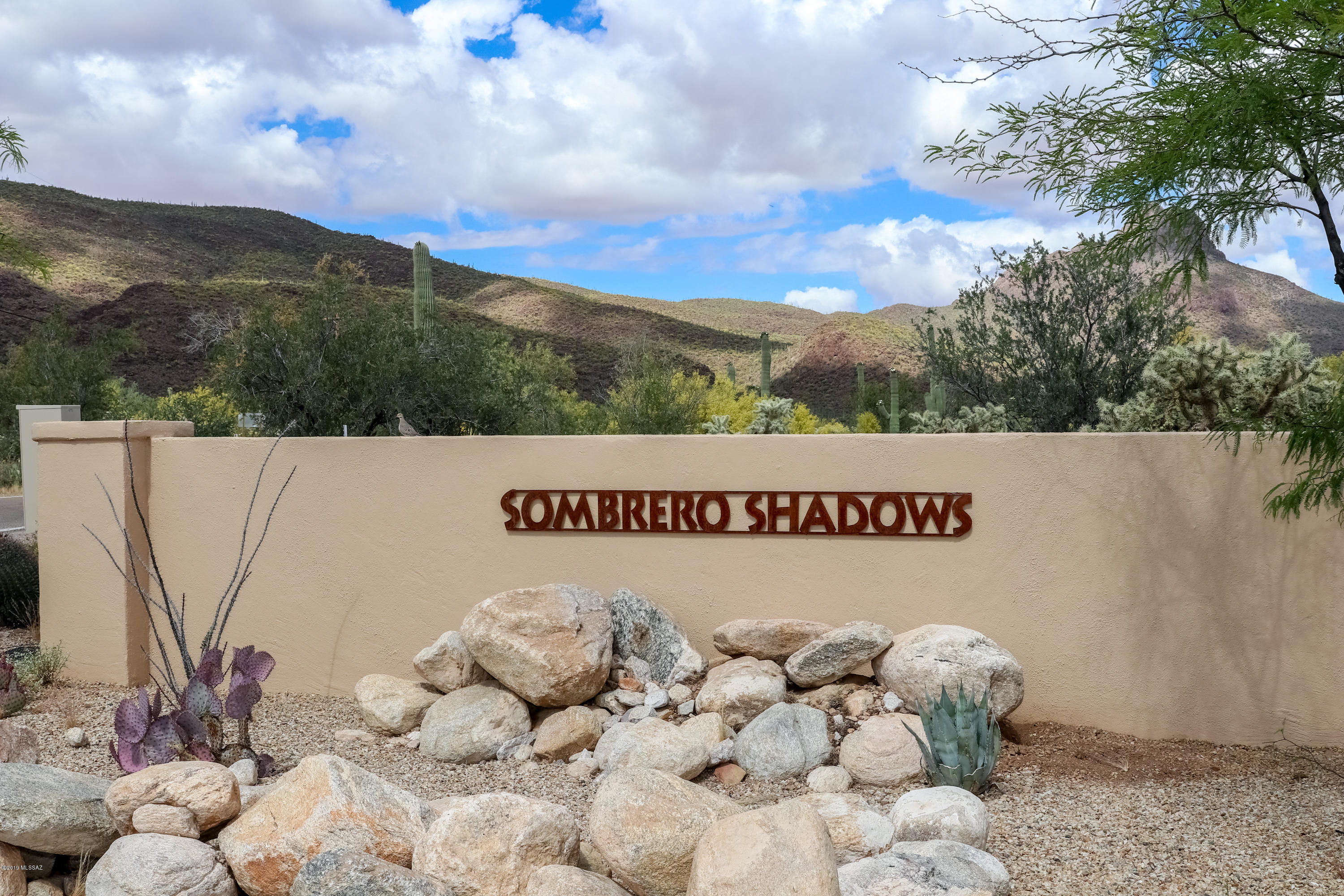 Come out and view this STUNNING lot with unobstructed backyard views of Saguaro National Park. This beautiful lot is one of the last lots that are available for building in this securely gated 11 home site.  Septic and water meter have already been installed! Flat lot is surrounded by gorgeous vegetation and tall saguaros.
