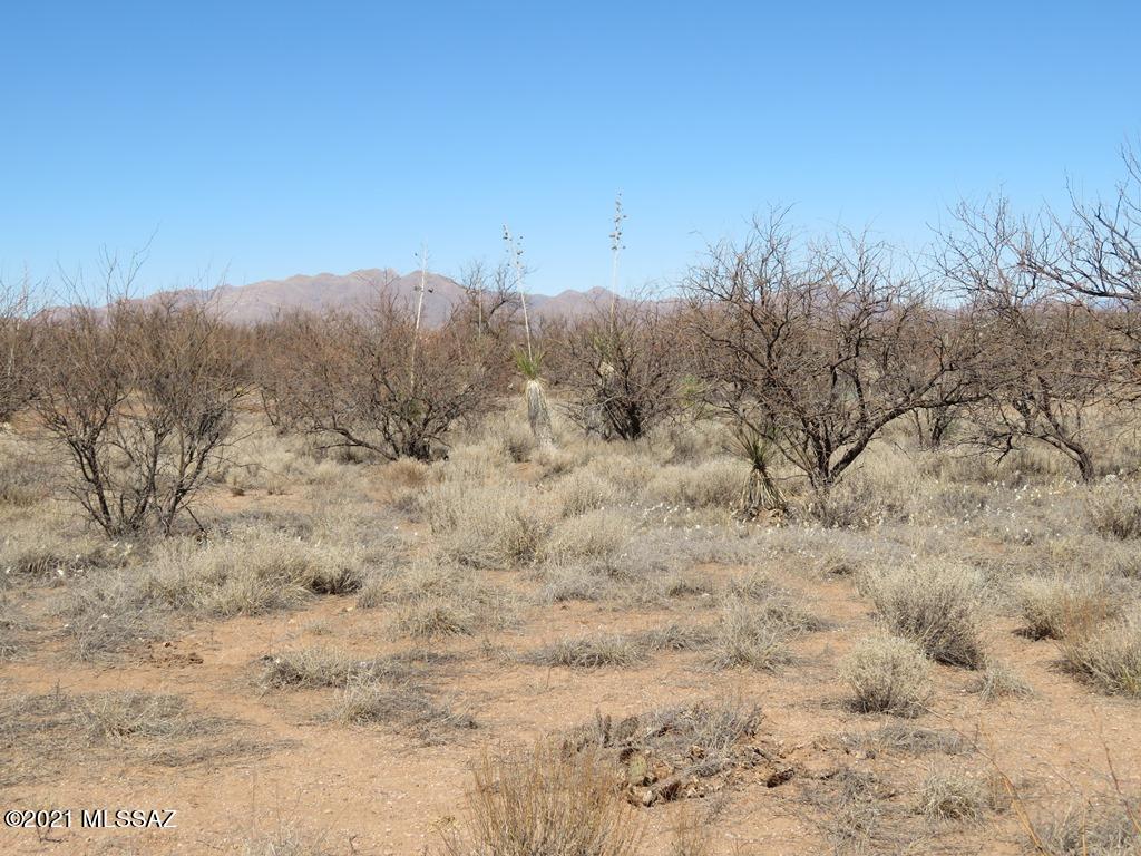 Mescal Lakes - Land