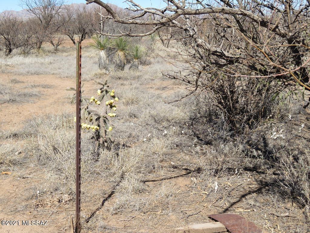 Mescal Lakes - Land