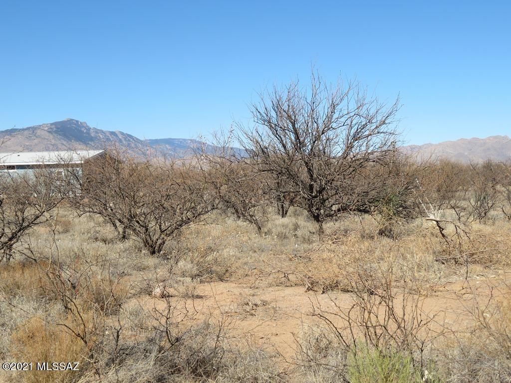 Mescal Lakes - Land