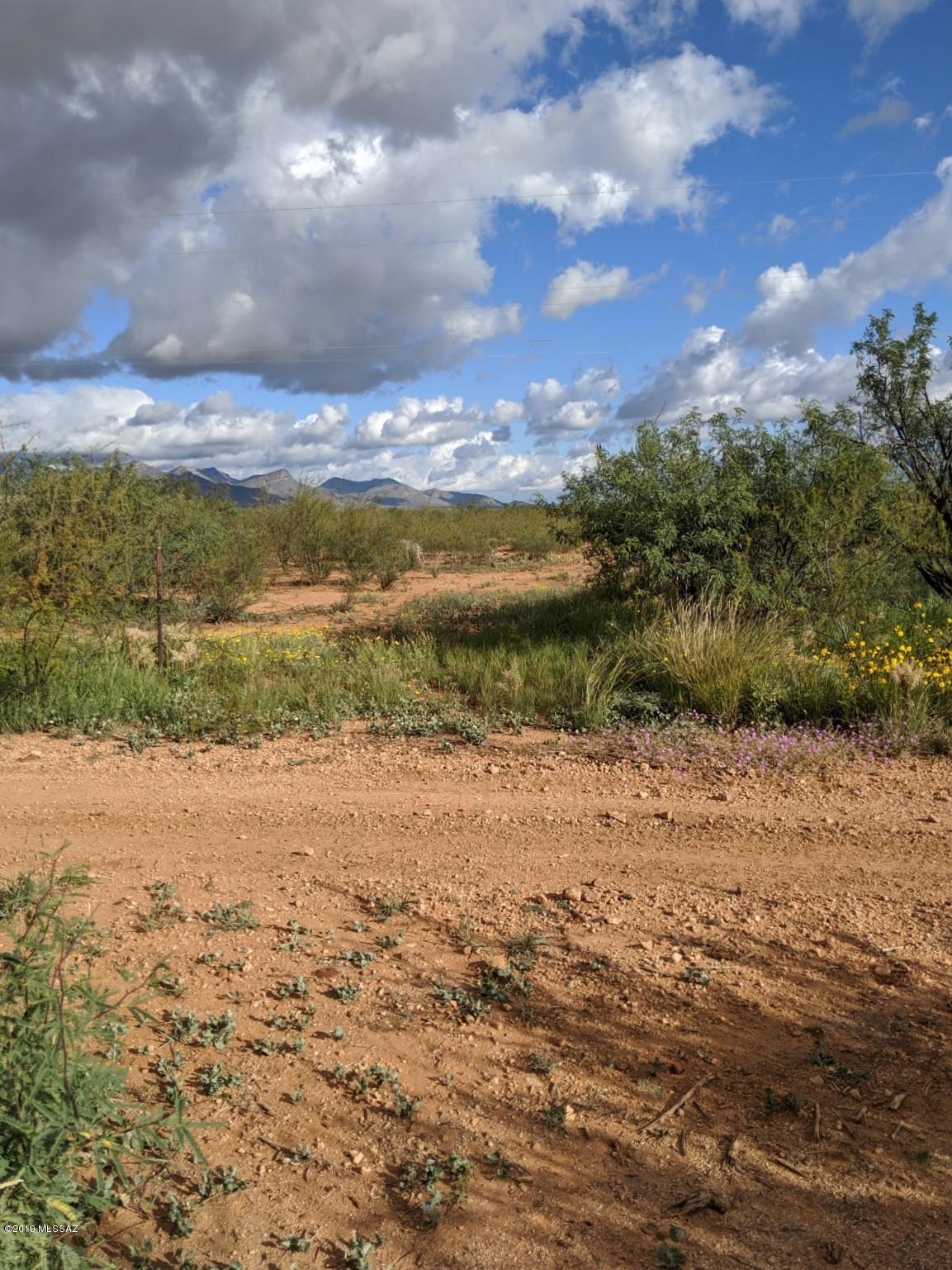 A beautiful home would be a great addition to this nice flat piece of land. The views are great and it's an easy commute to Tombstone, Sonoita, Sierra Vista, and I-10. There is already power on the lot.