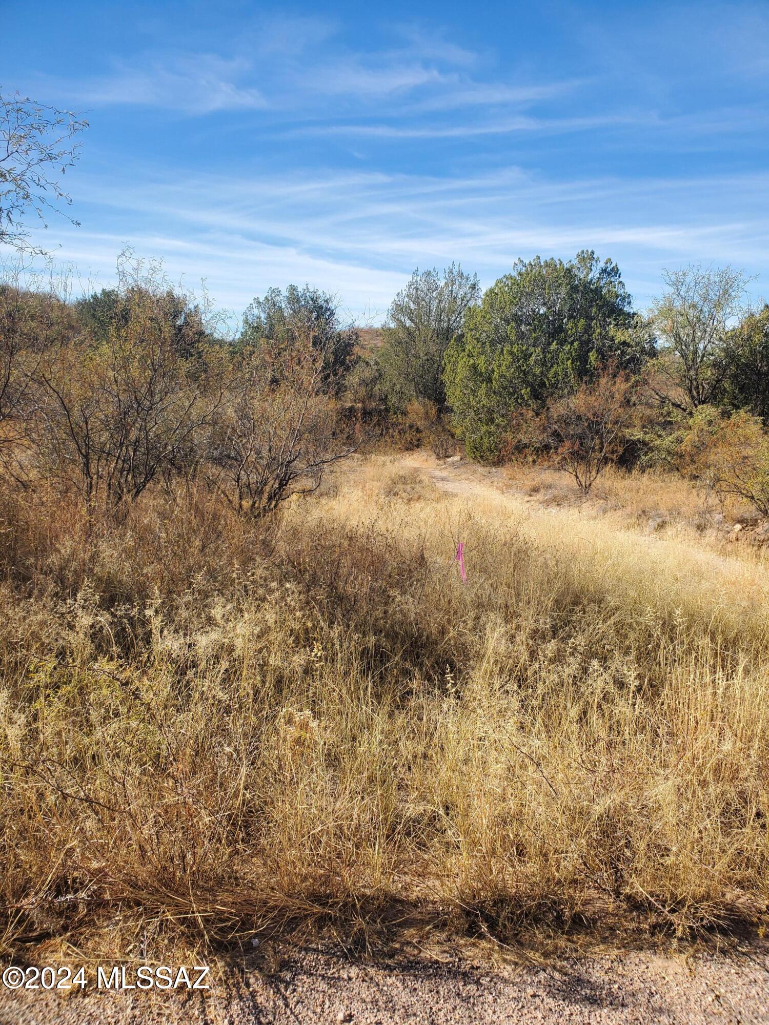 Rio Rico Ranchettes 11 - Land