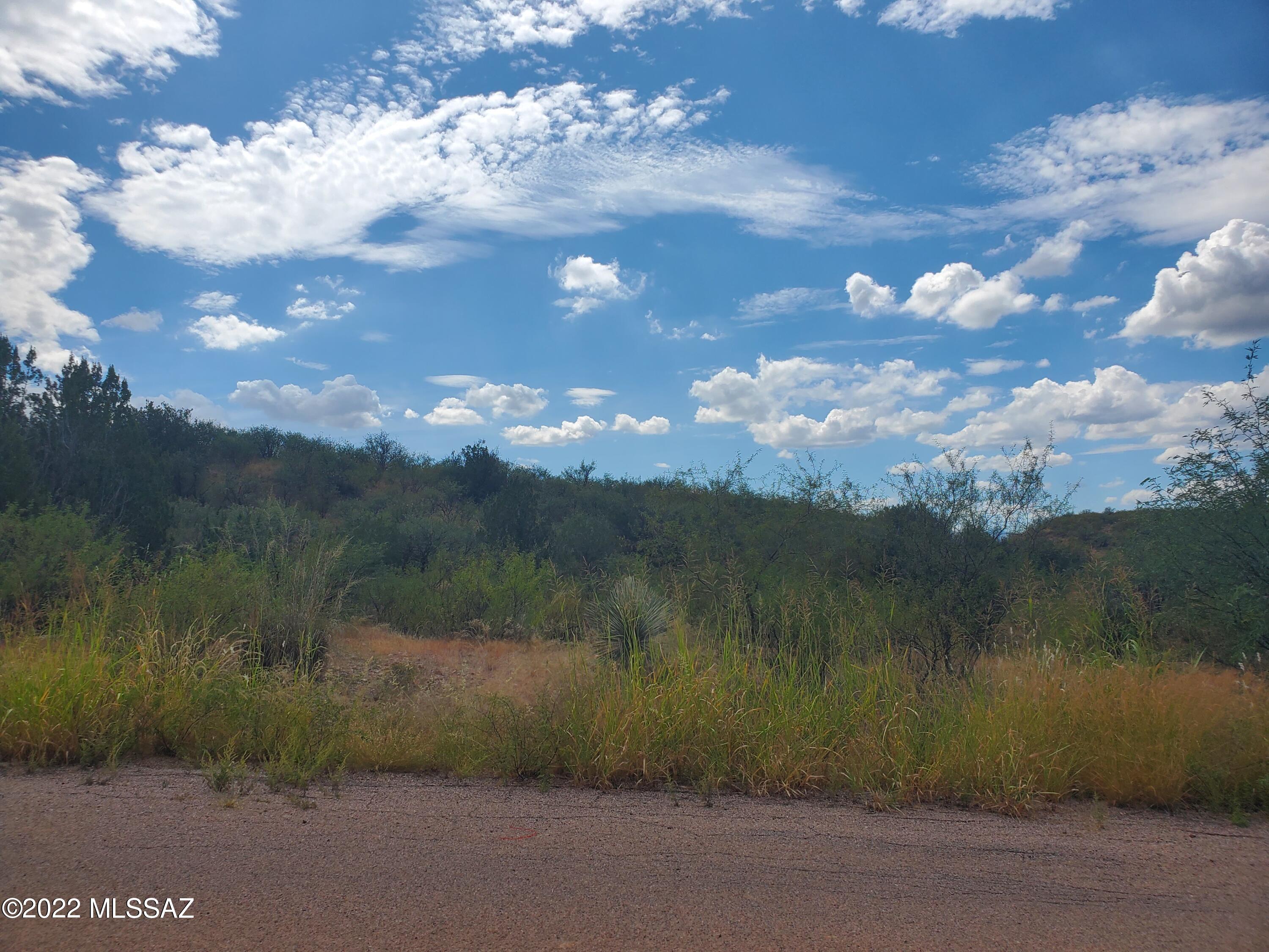 Rio Rico Ranchettes 11 - Land