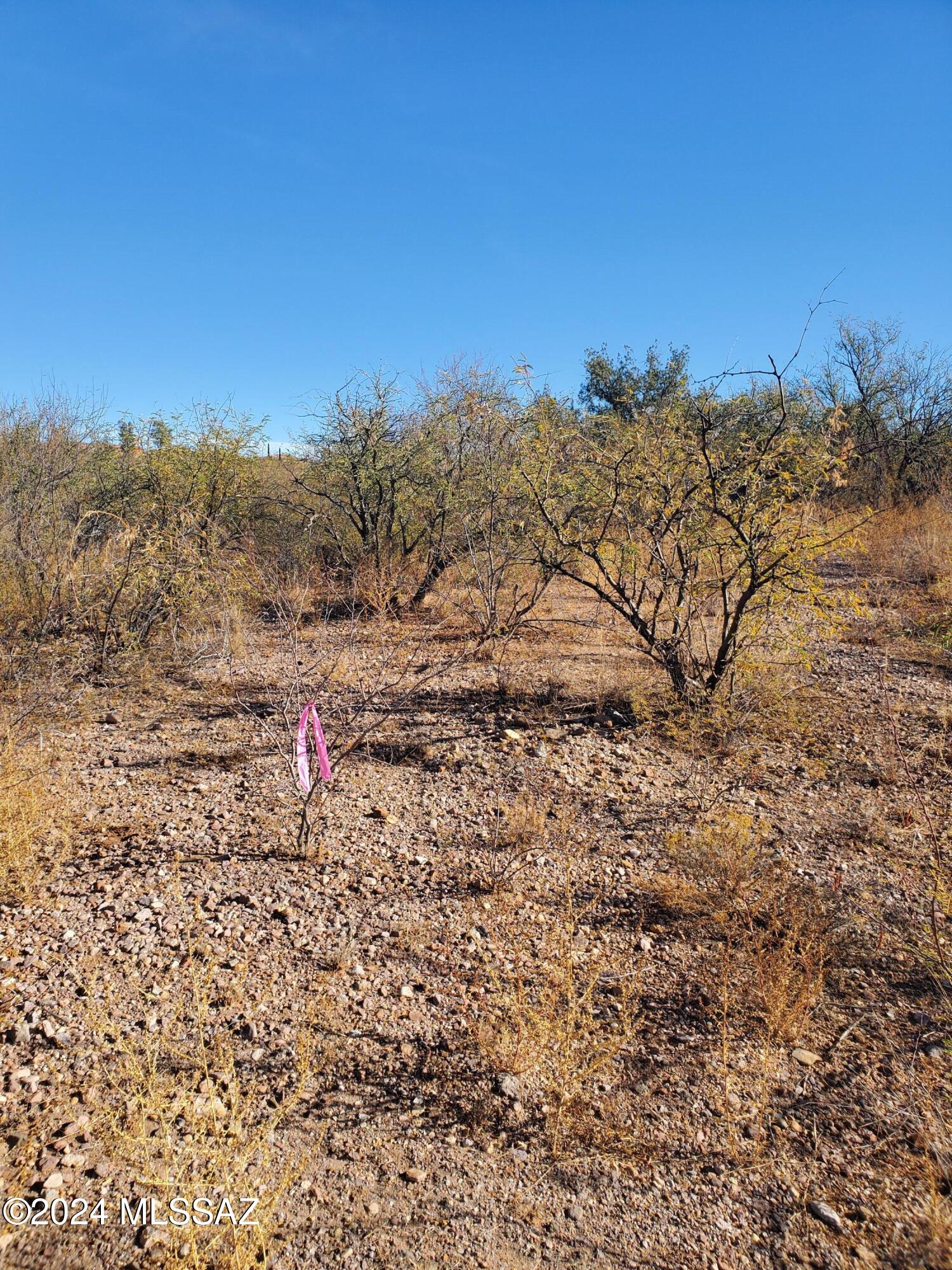 Rio Rico Ranchettes 11 - Land