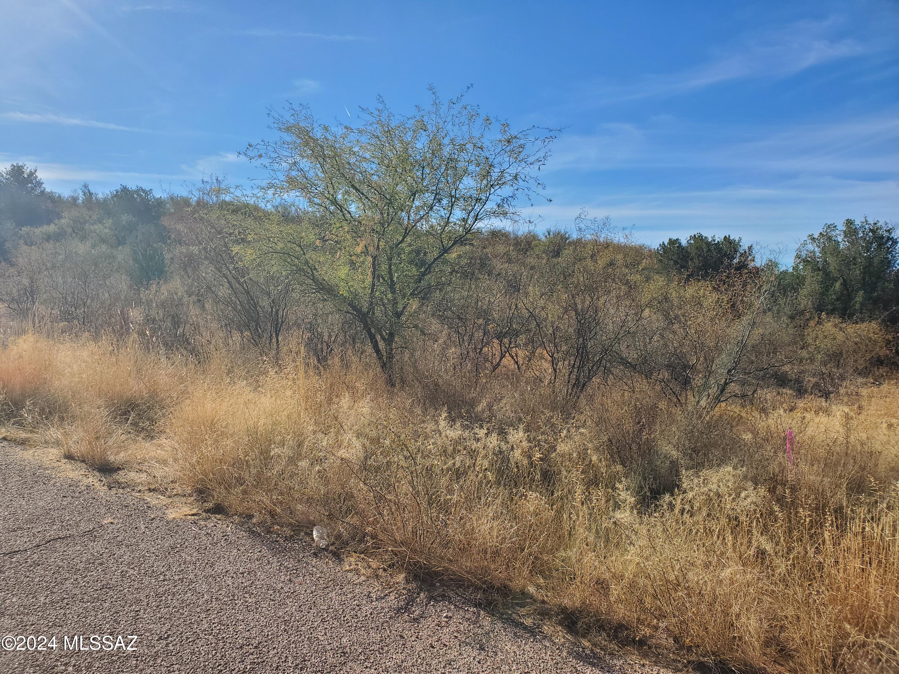 Rio Rico Ranchettes 11 - Land