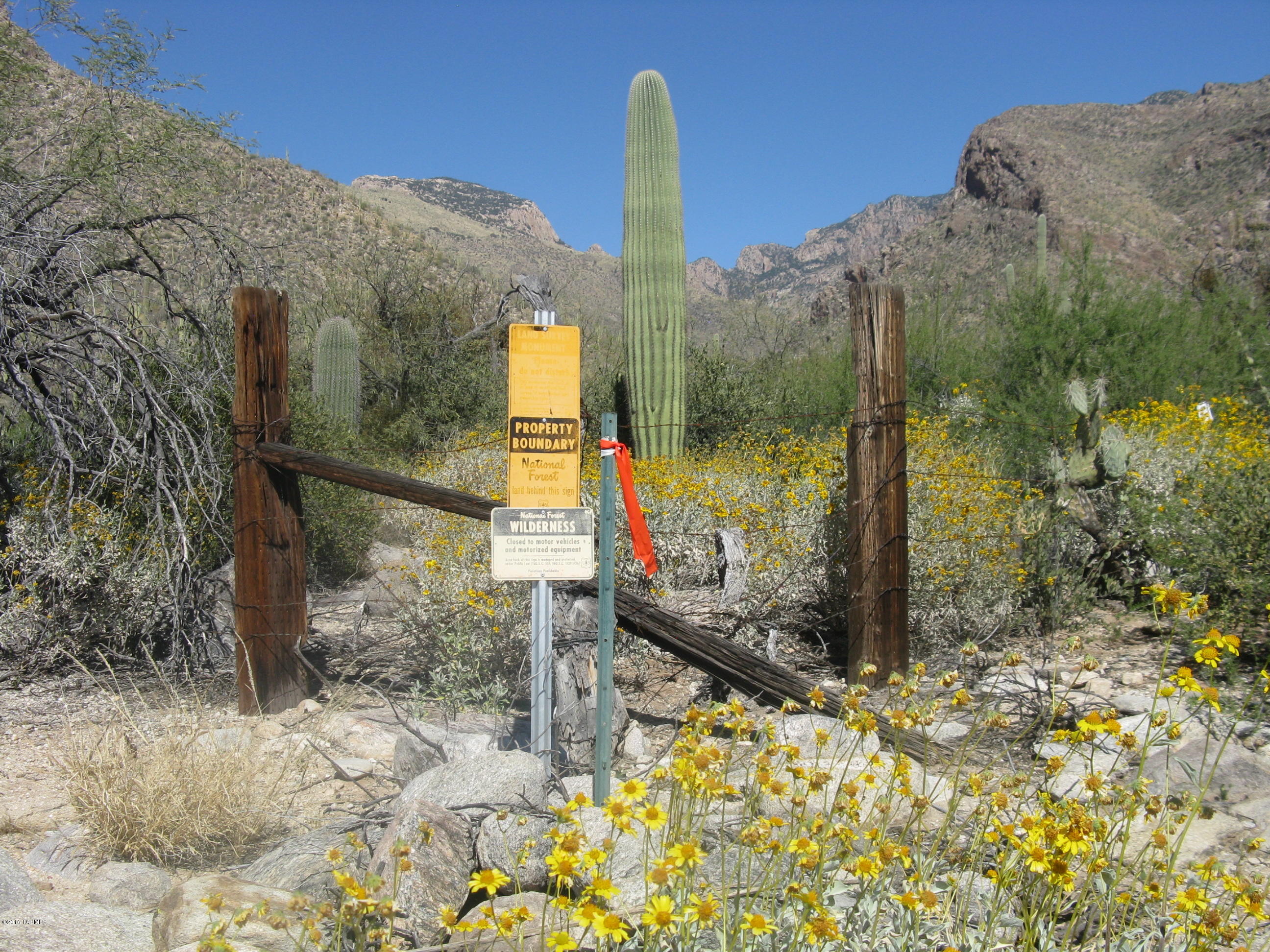 Pima Canyon Estates (1-14) - Land