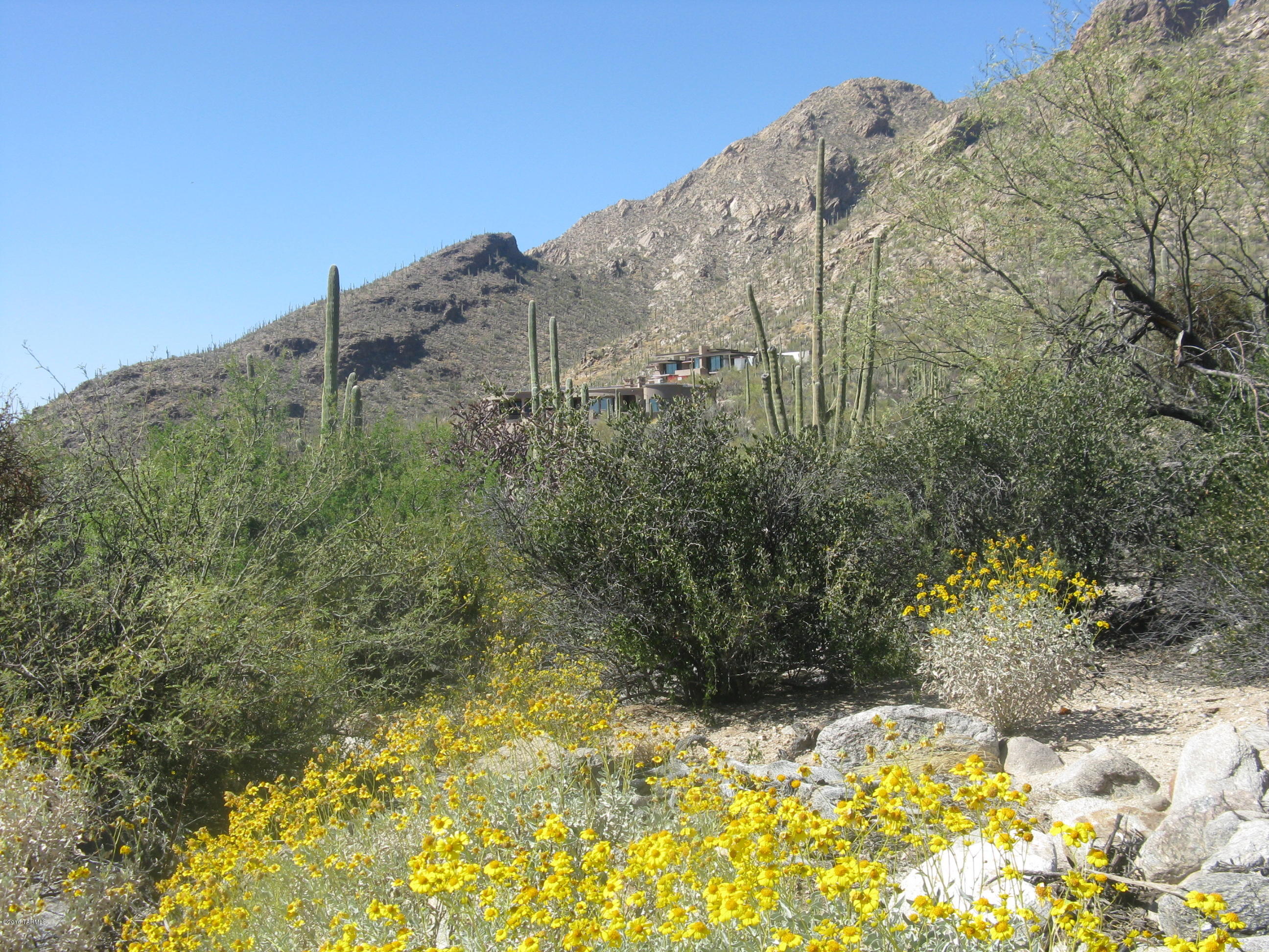 Pima Canyon Estates (1-14) - Land