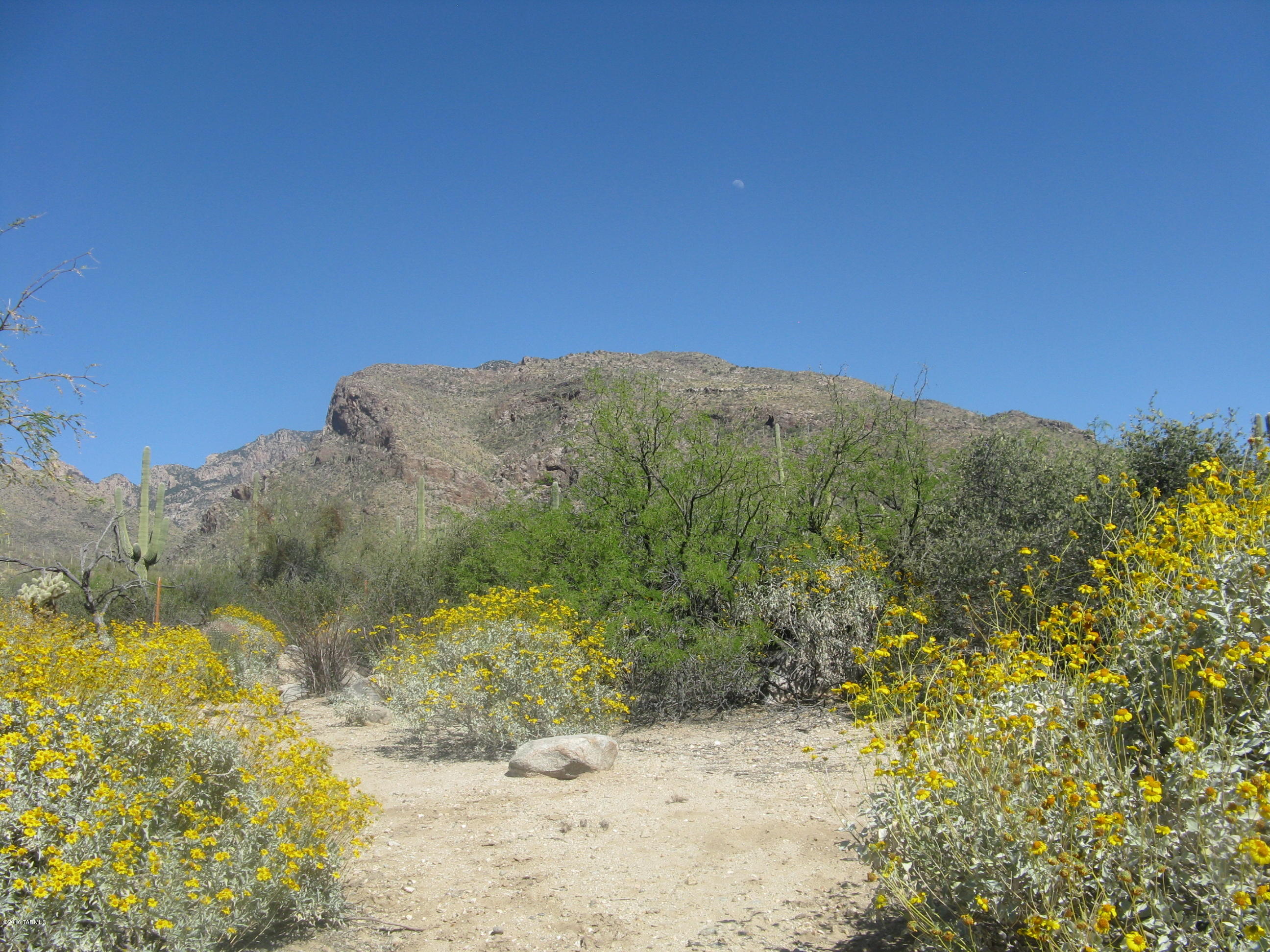 Pima Canyon Estates (1-14) - Land
