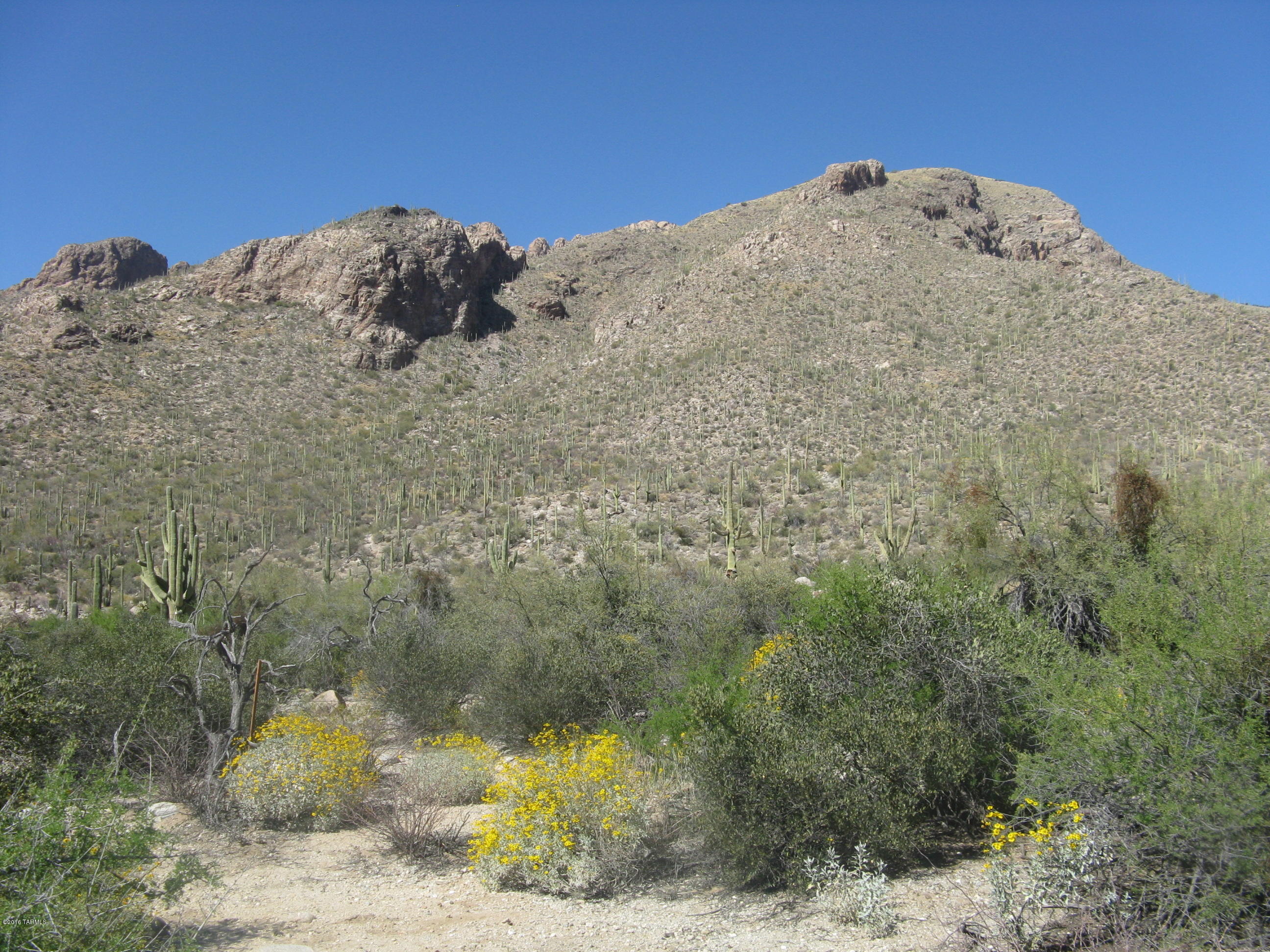 Pima Canyon Estates (1-14) - Land