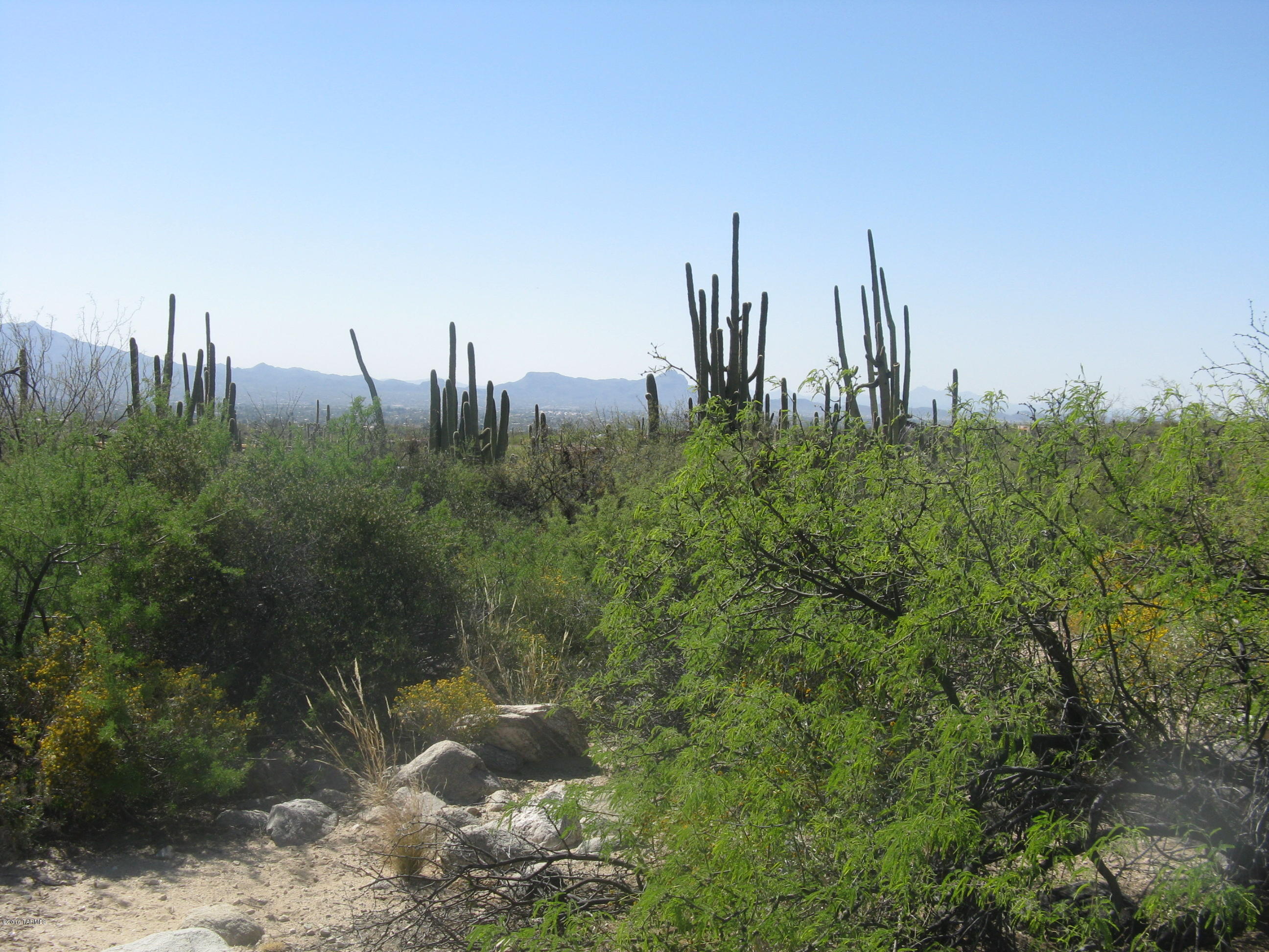 Pima Canyon Estates (1-14) - Land