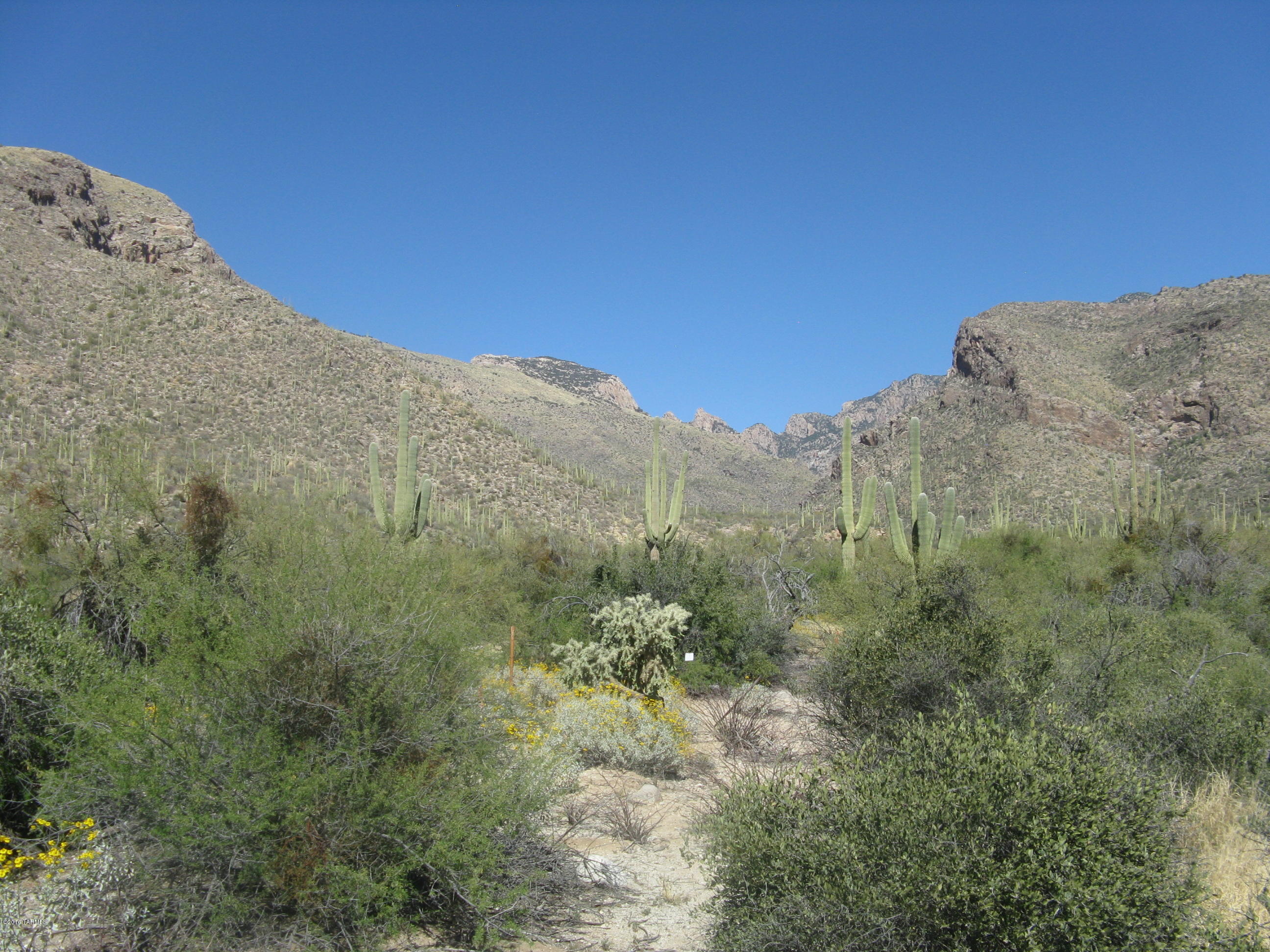 Pima Canyon Estates (1-14) - Land