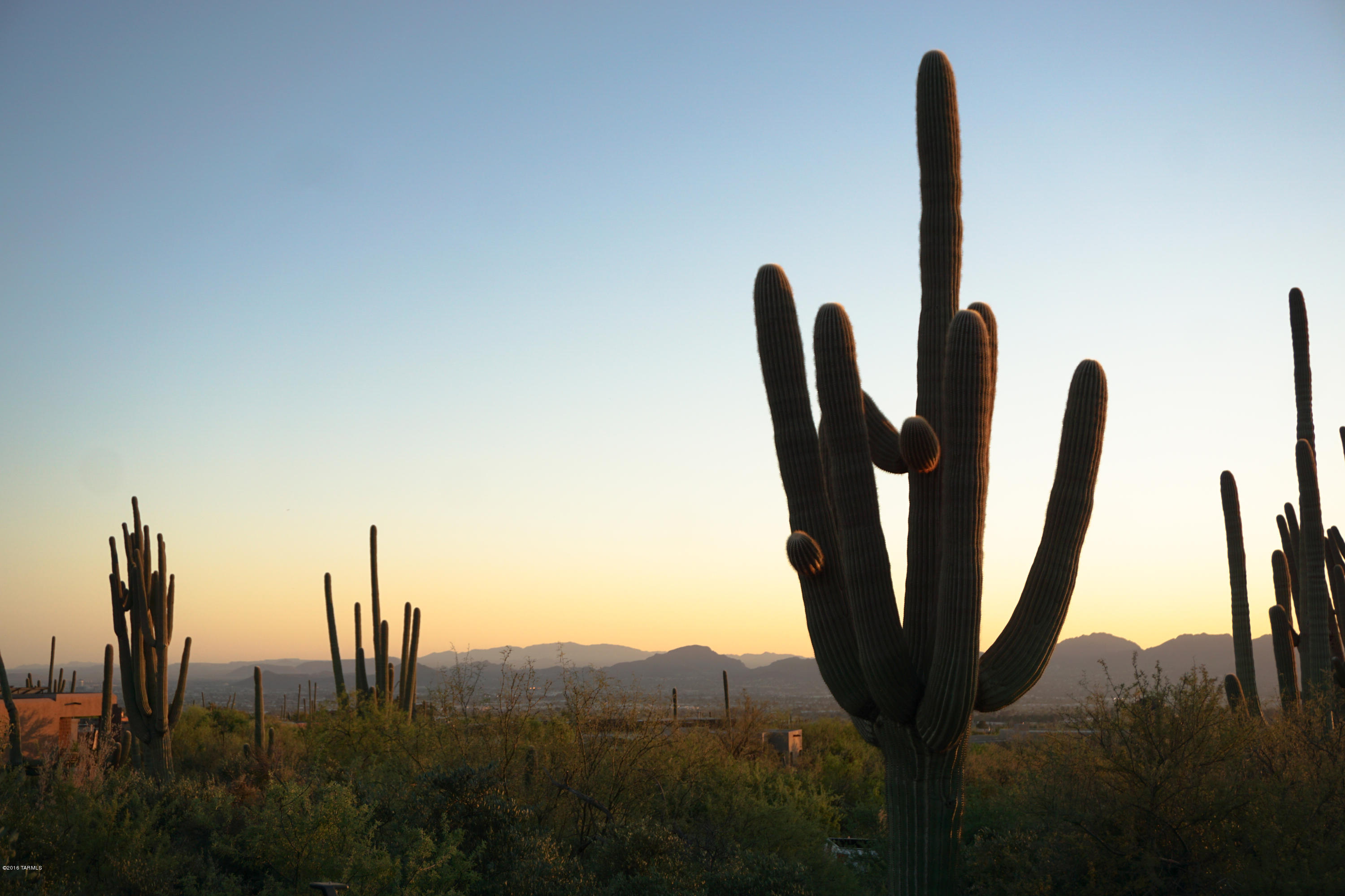 Pima Canyon Estates (1-14) - Land
